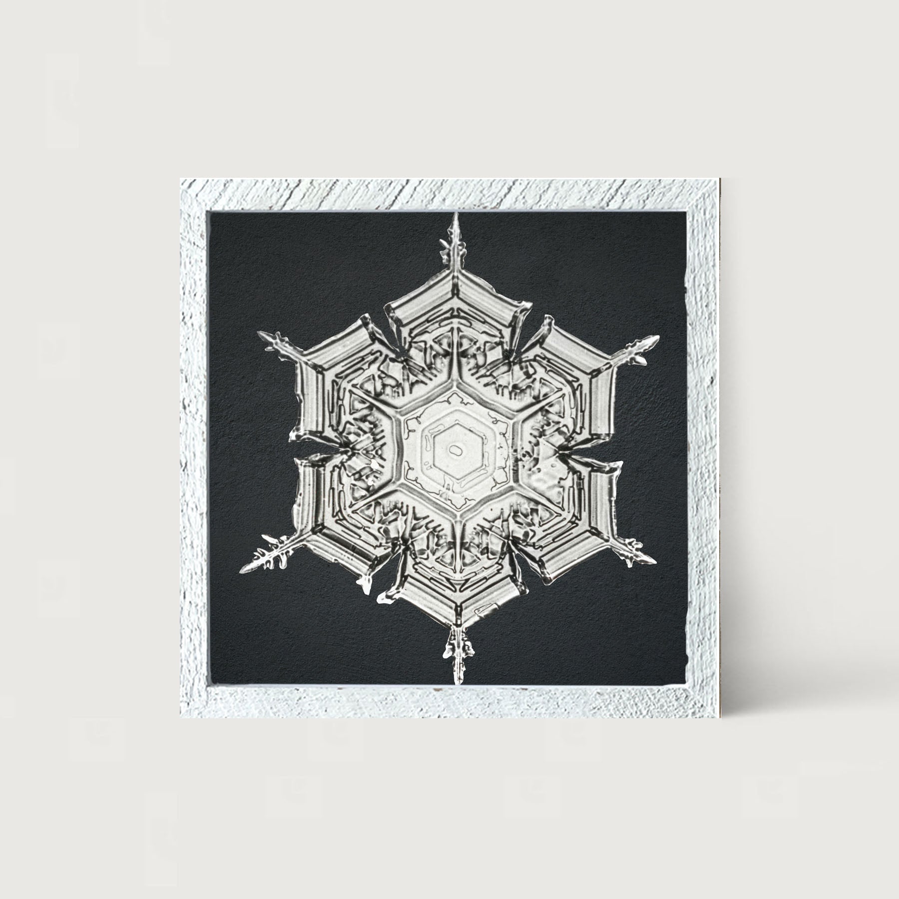 Snowflake-E - Framed art