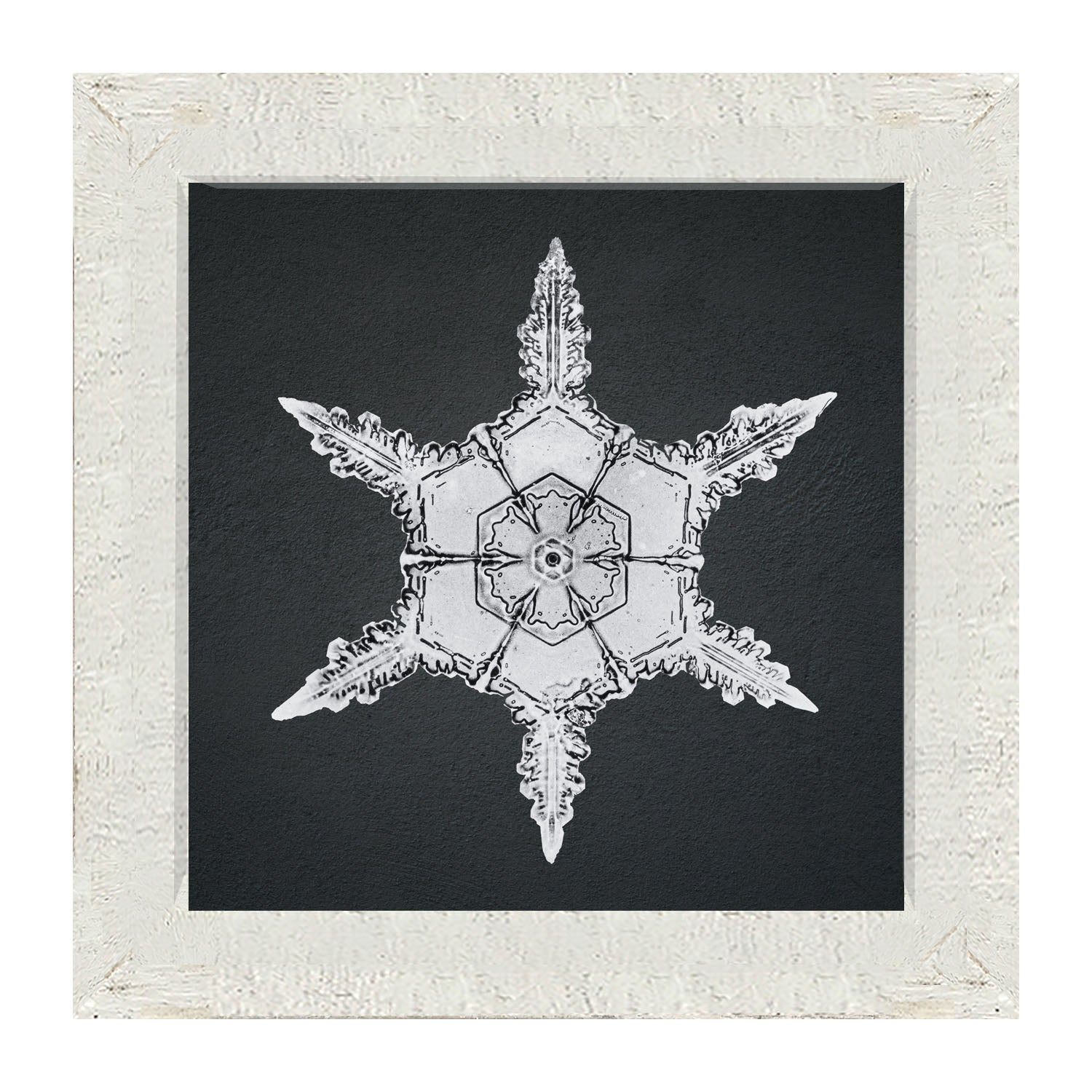 Snowflake-F - Framed art