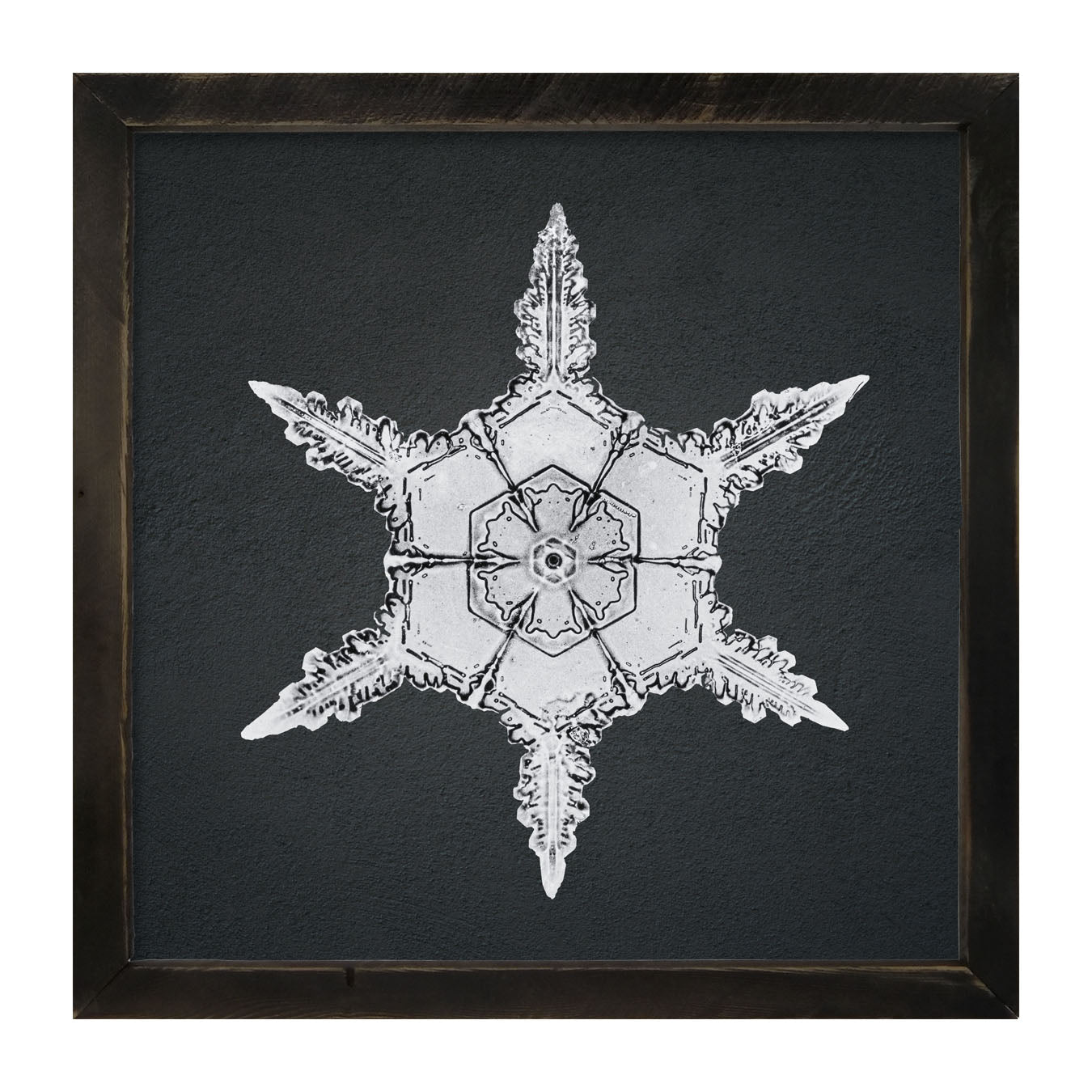 Snowflake-F - Framed art