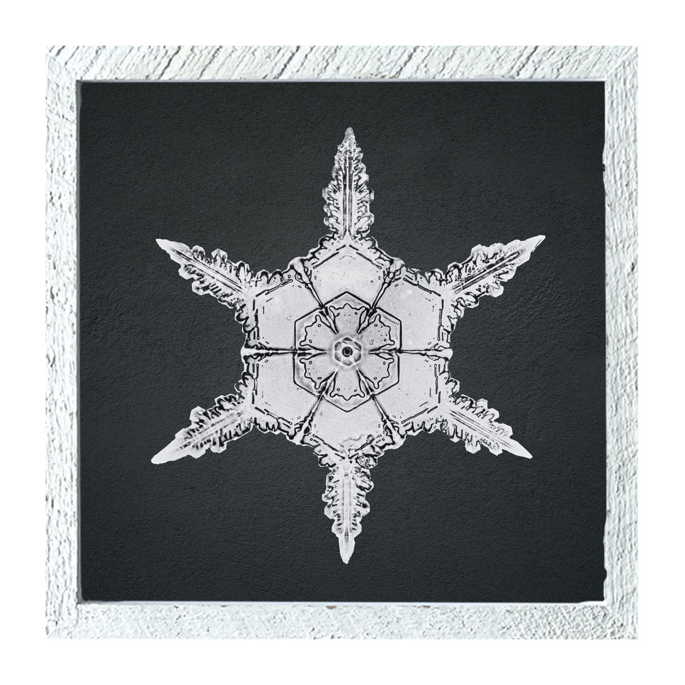 Snowflake-F - Framed art