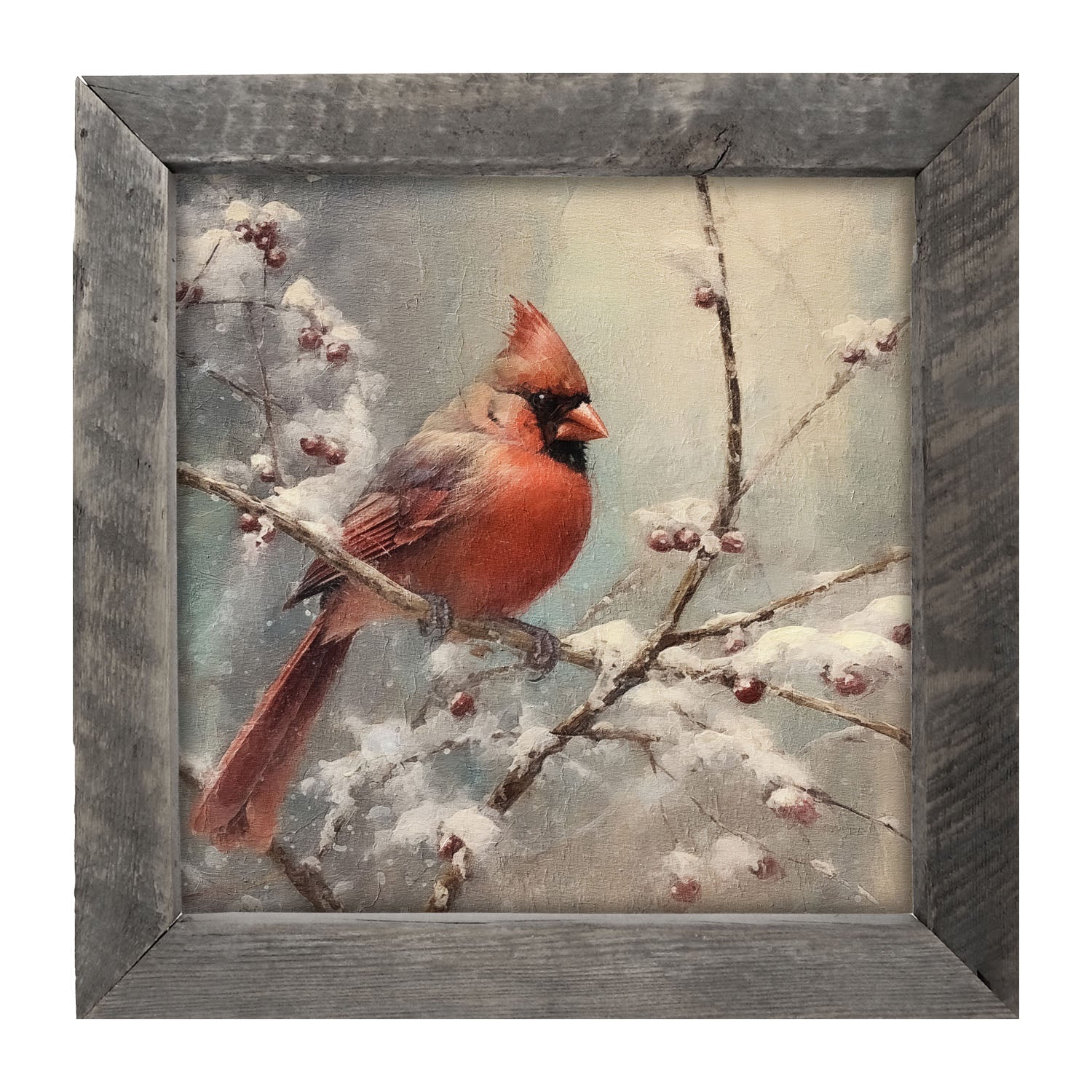 Cardinal in winter - Framed art