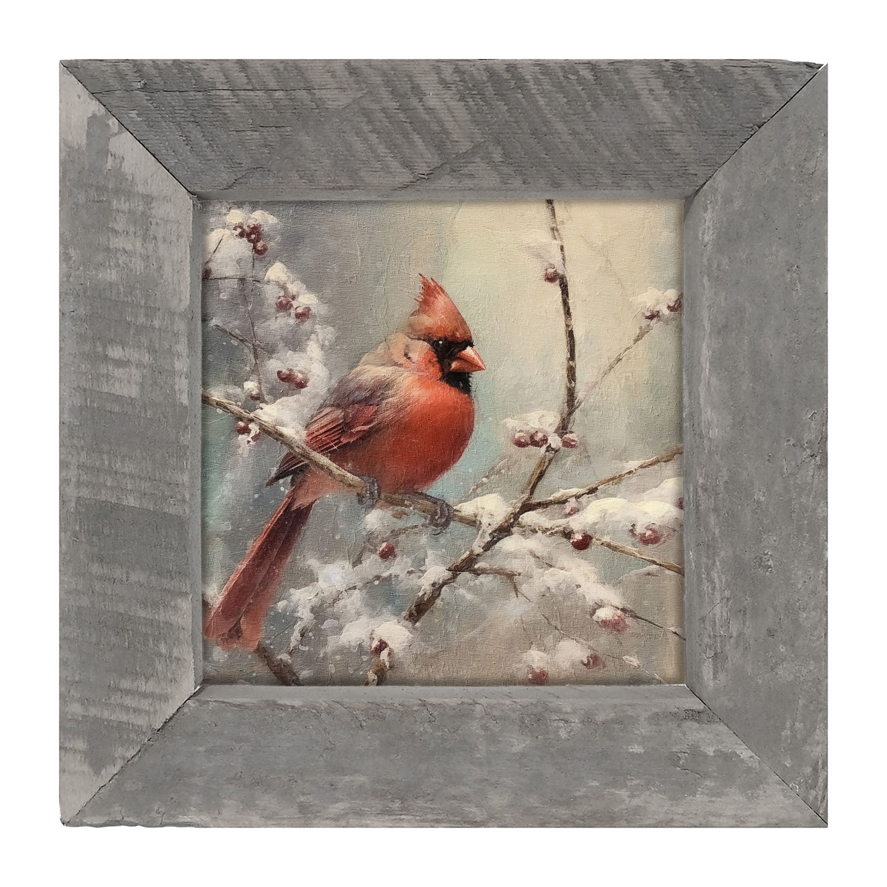 Cardinal in winter - Framed art