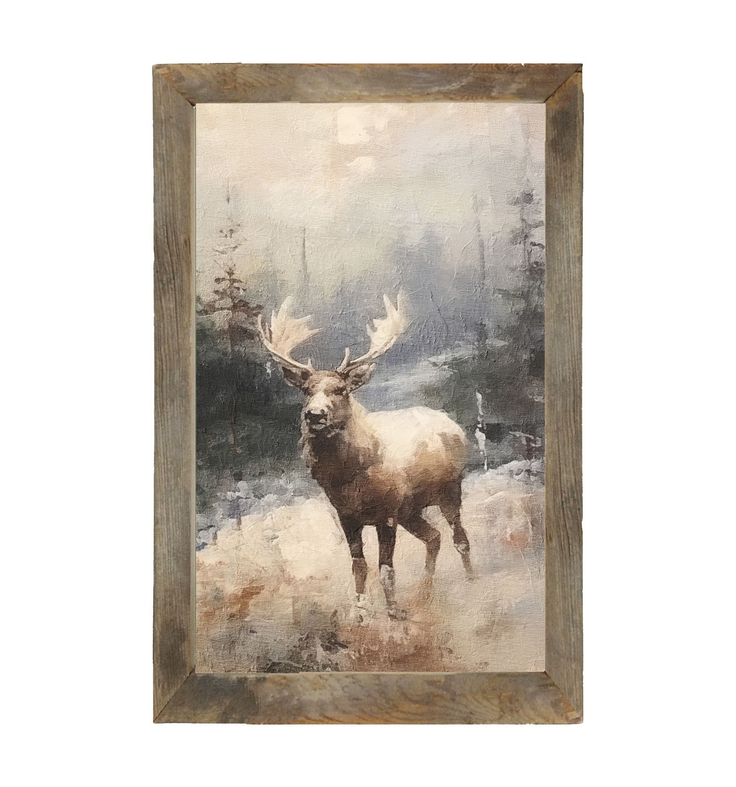 Standing moose