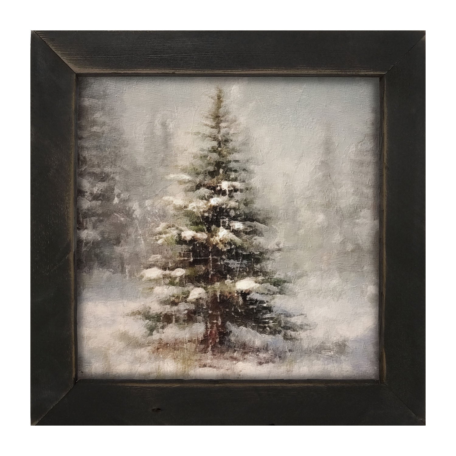 Winter conifer - Framed art