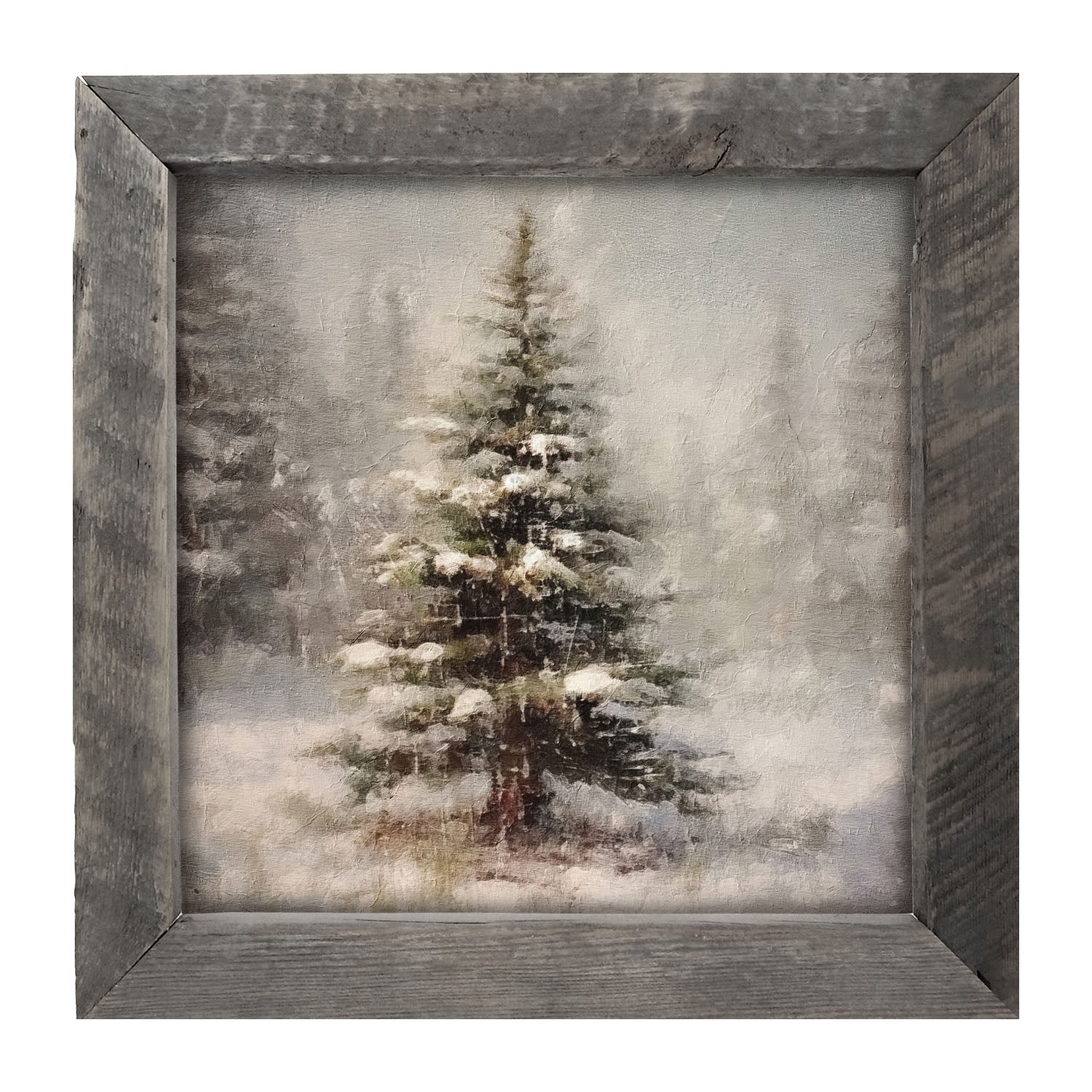 Winter conifer - Framed art