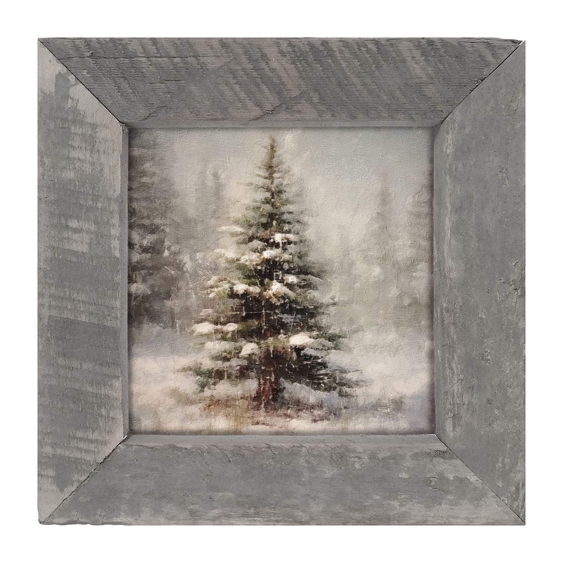 Winter conifer - Framed art