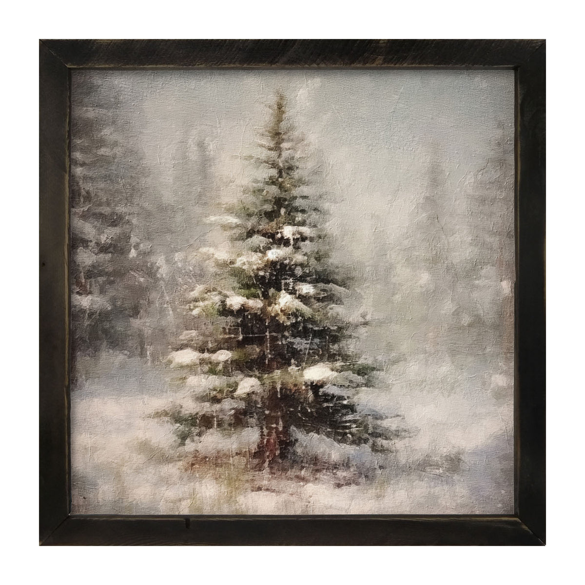 Winter conifer