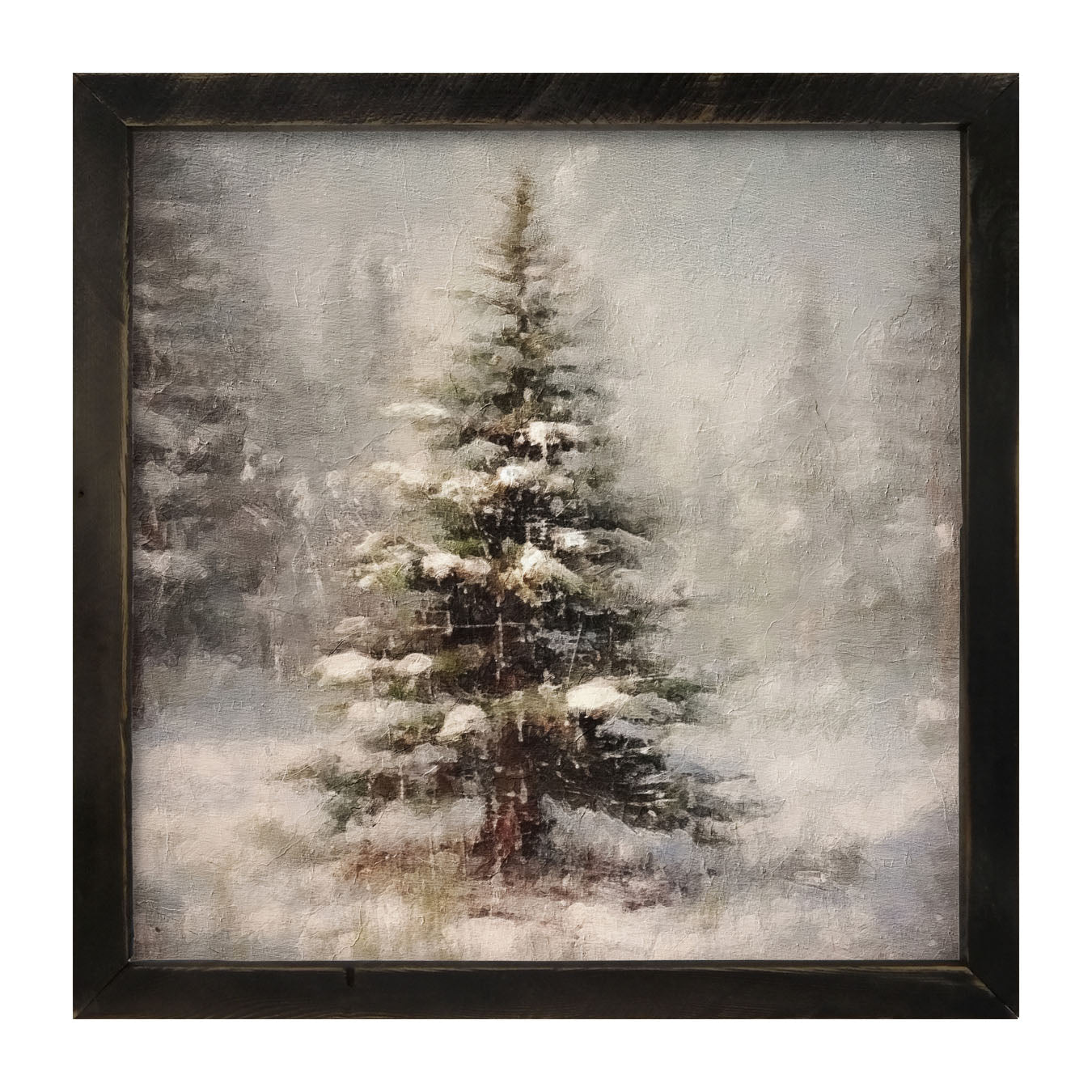 Winter conifer - Framed art