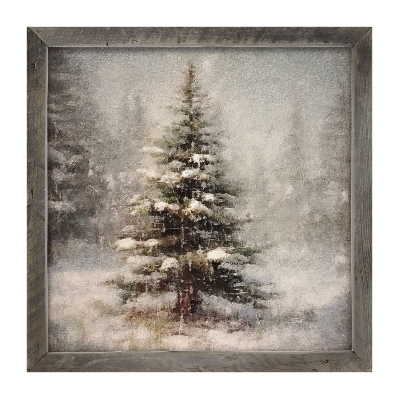 Winter conifer - Framed art
