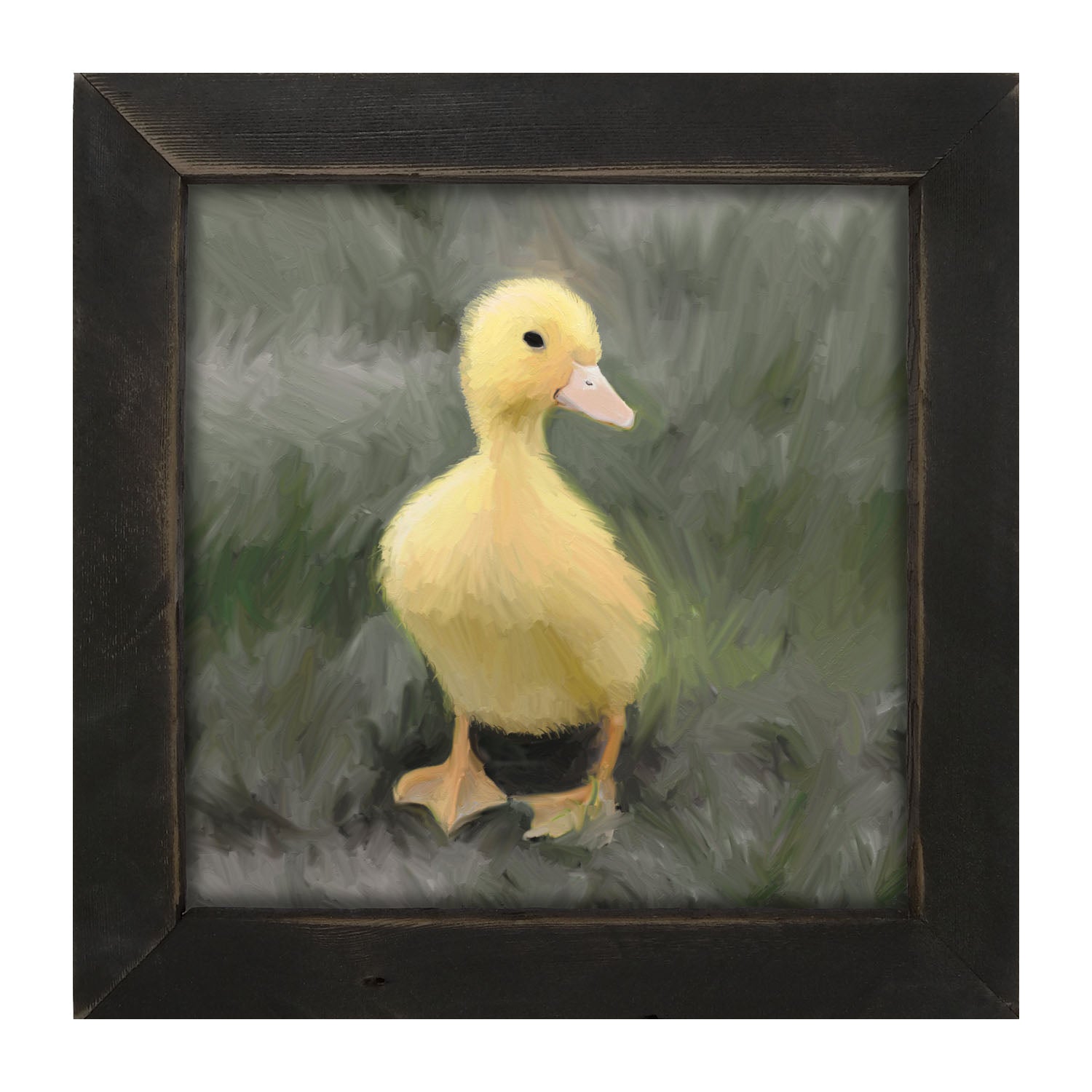 Baby duck