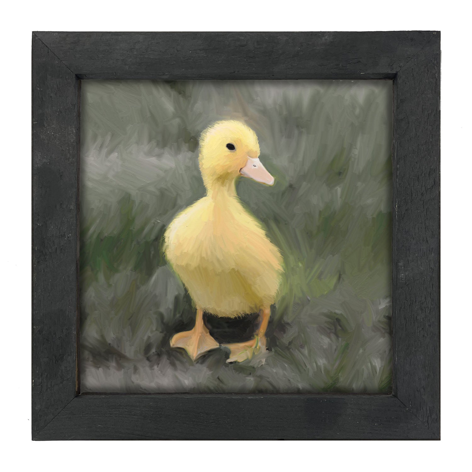 Baby duck - Framed art