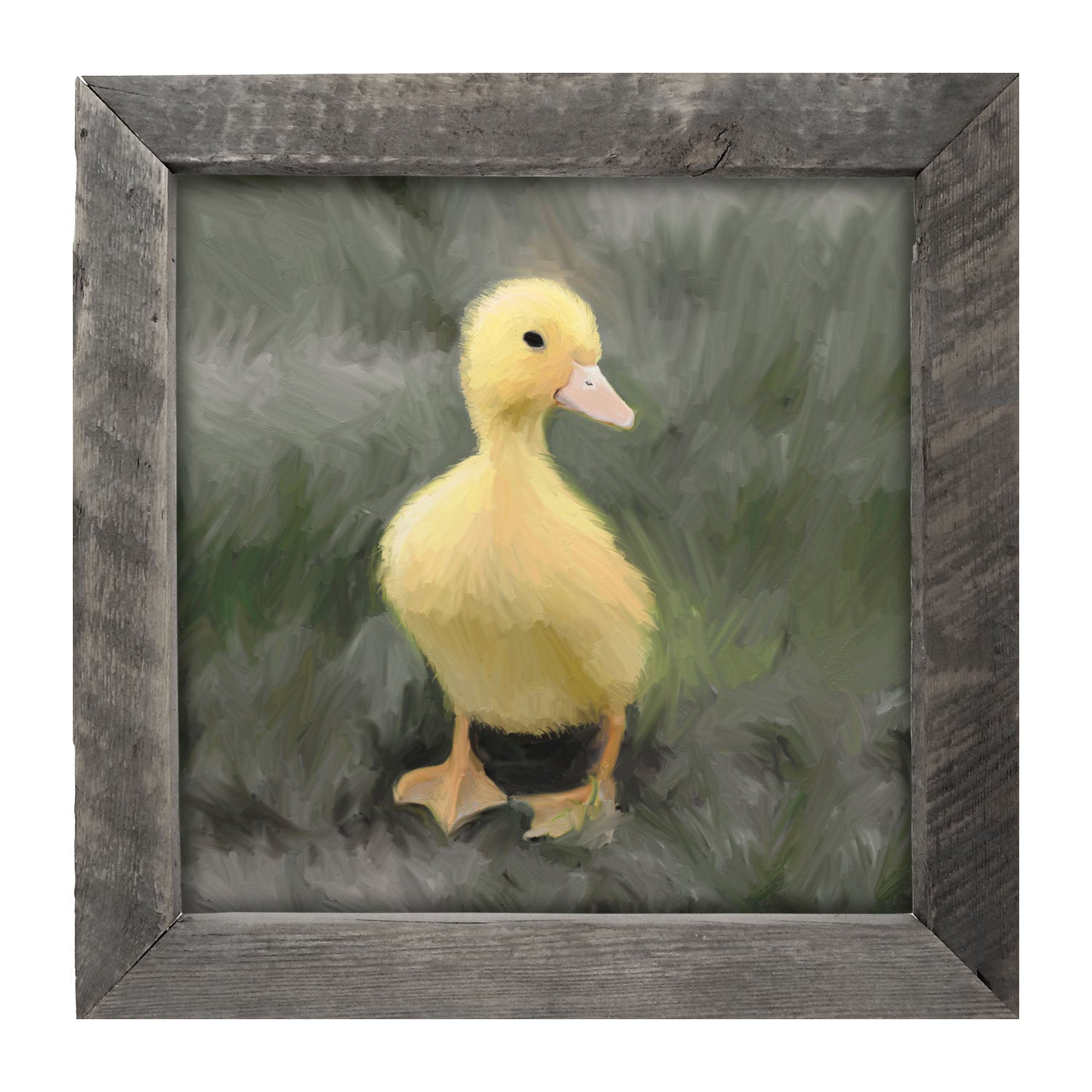 Baby duck - Framed art