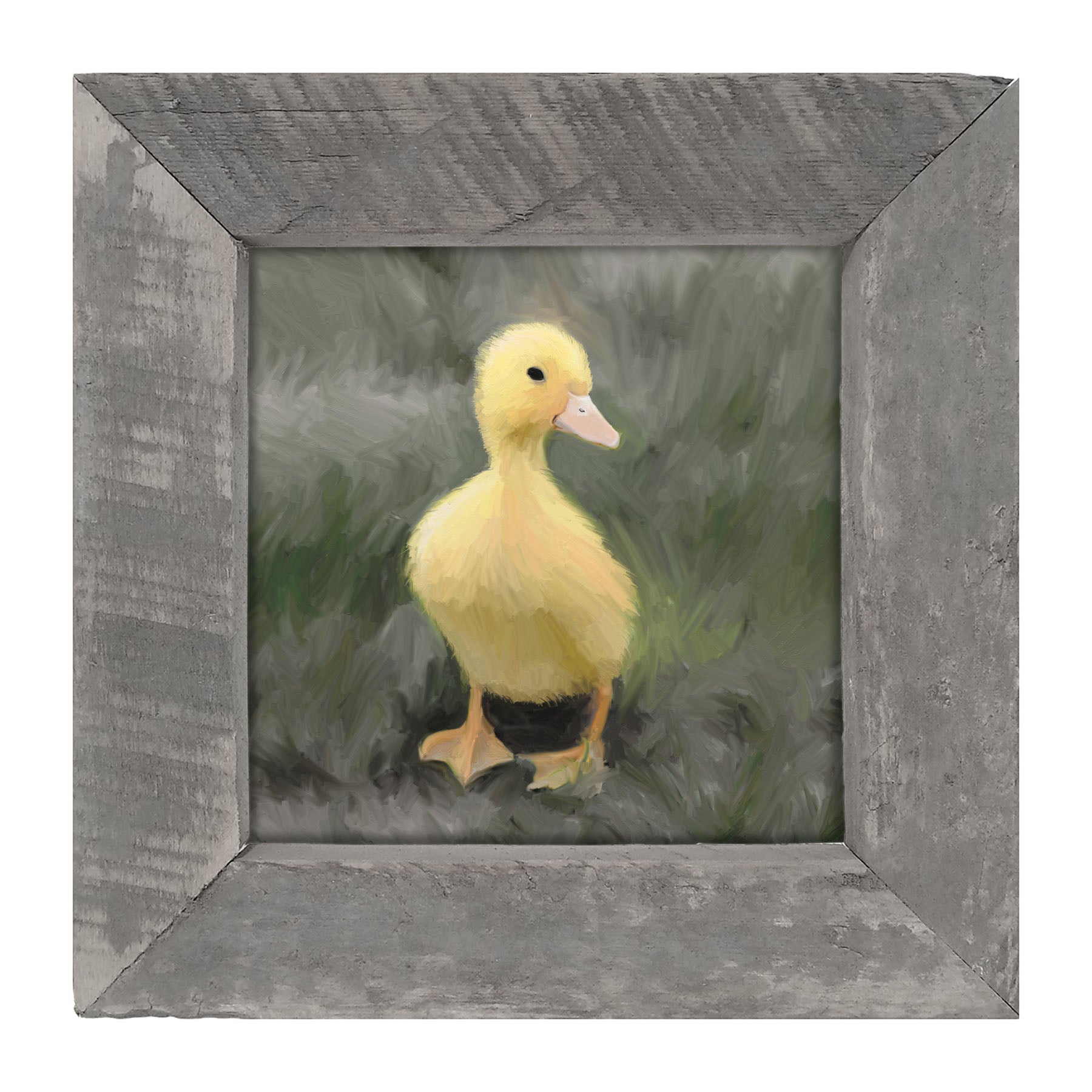 Baby duck - Framed art