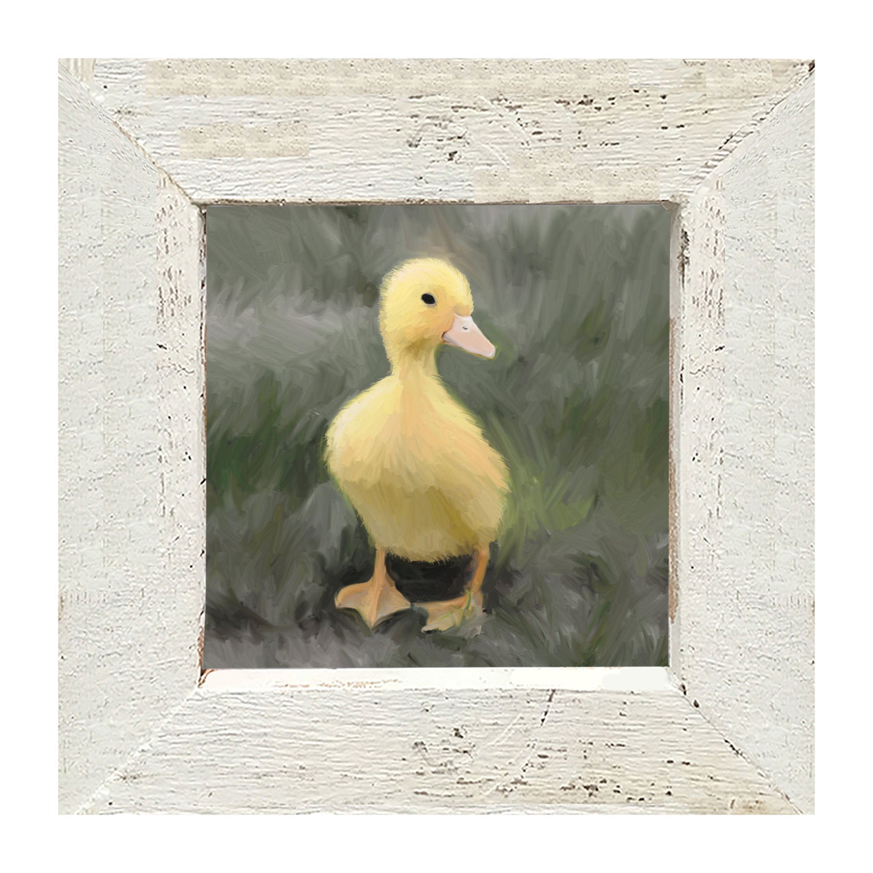 Baby duck - Framed art
