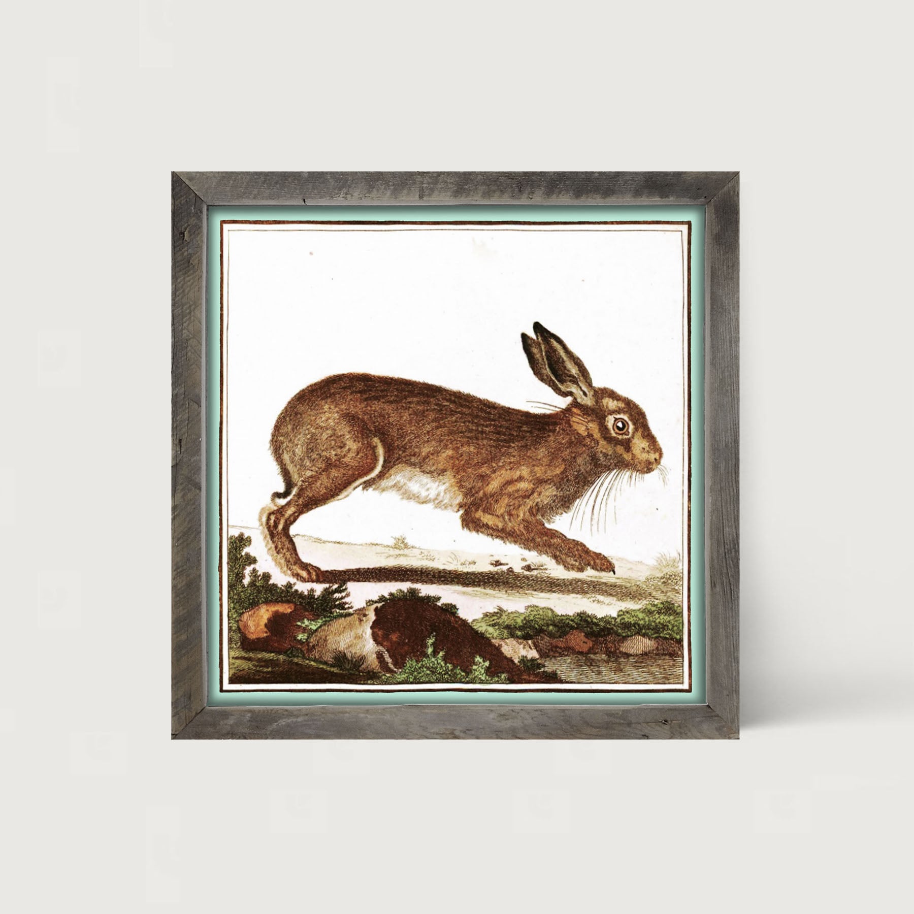 Vintage Brown Bunny - Framed art