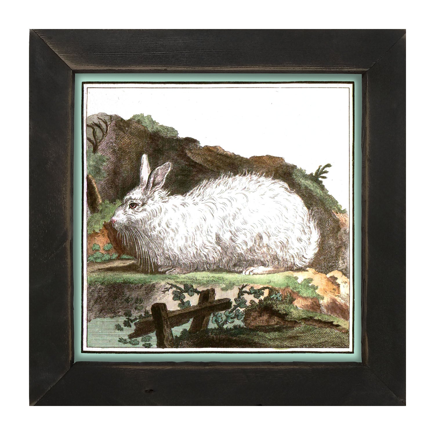 Vintage White Bunny - Framed art