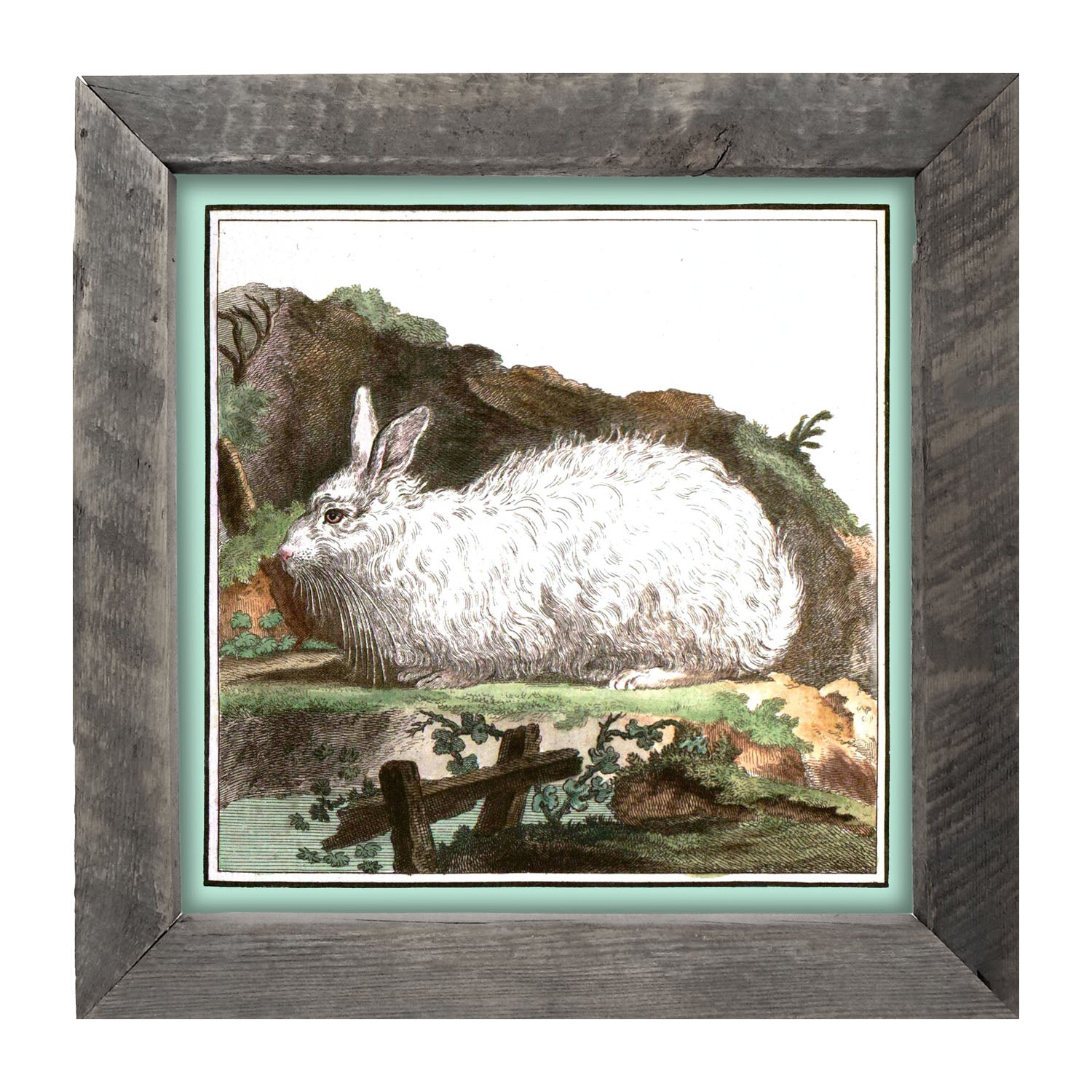 Vintage White Bunny - Framed art