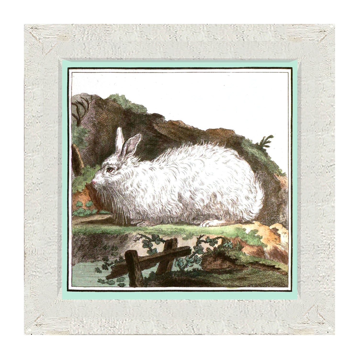 Vintage White Bunny - Framed art