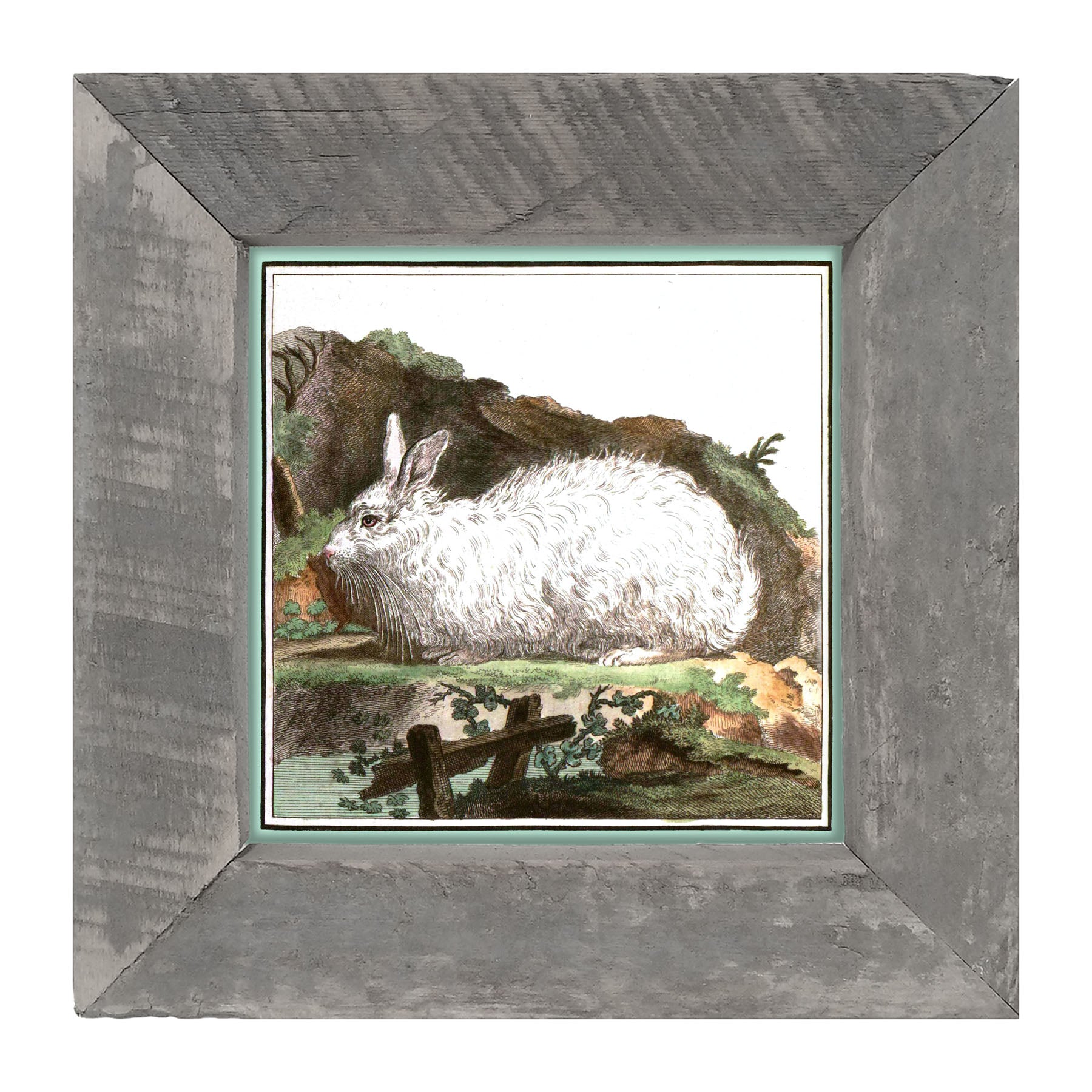 Vintage White Bunny - Framed art