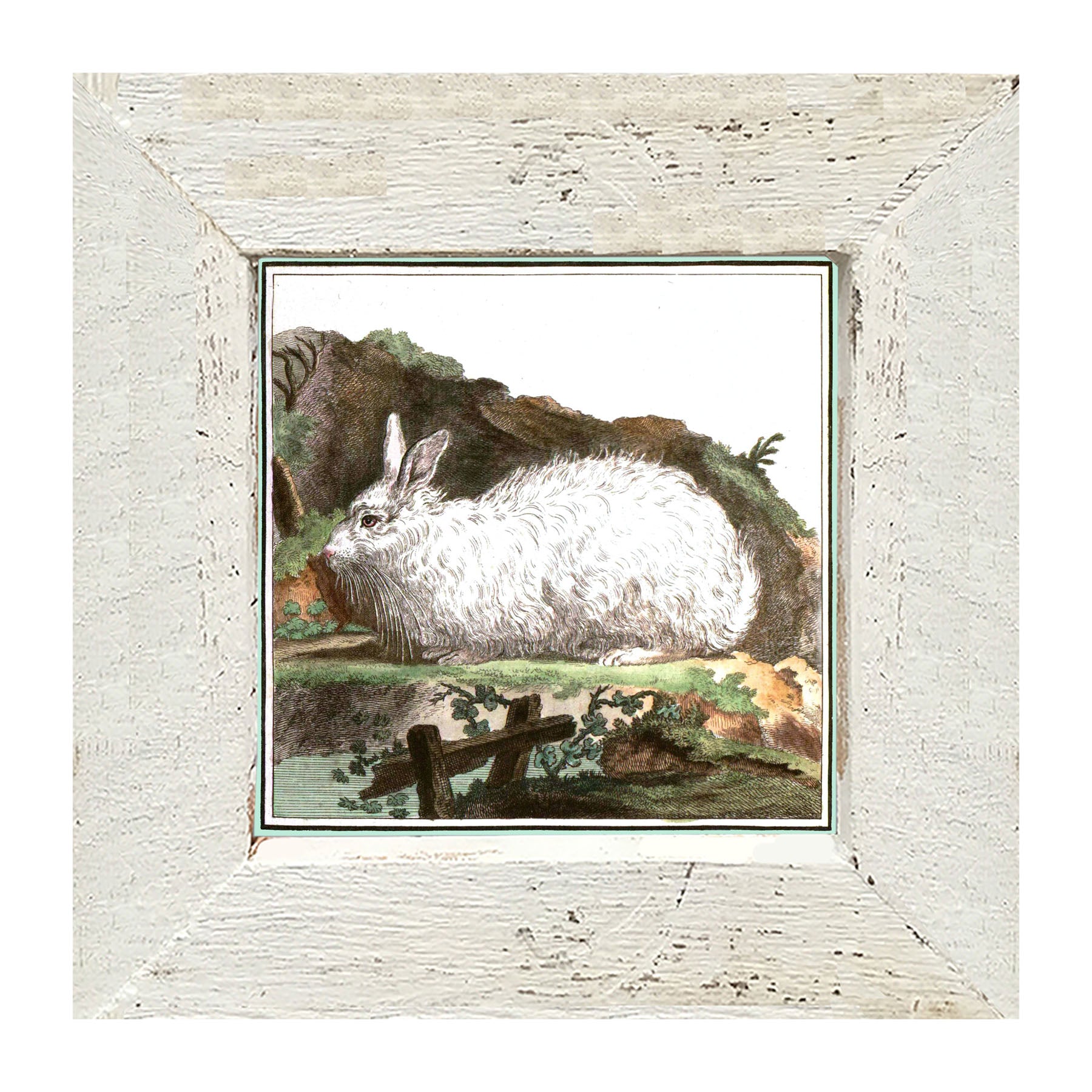 Vintage White Bunny - Framed art