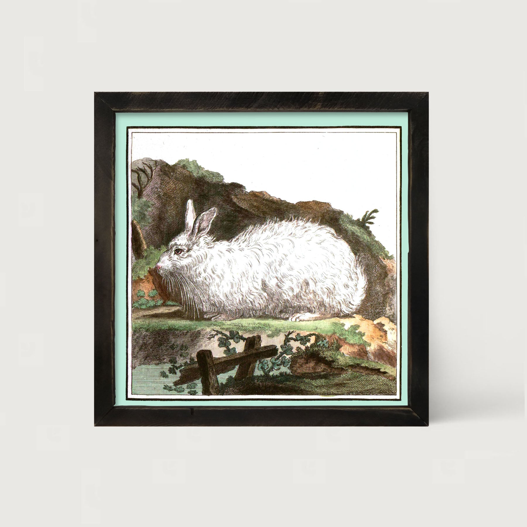 Vintage White Bunny - Framed art