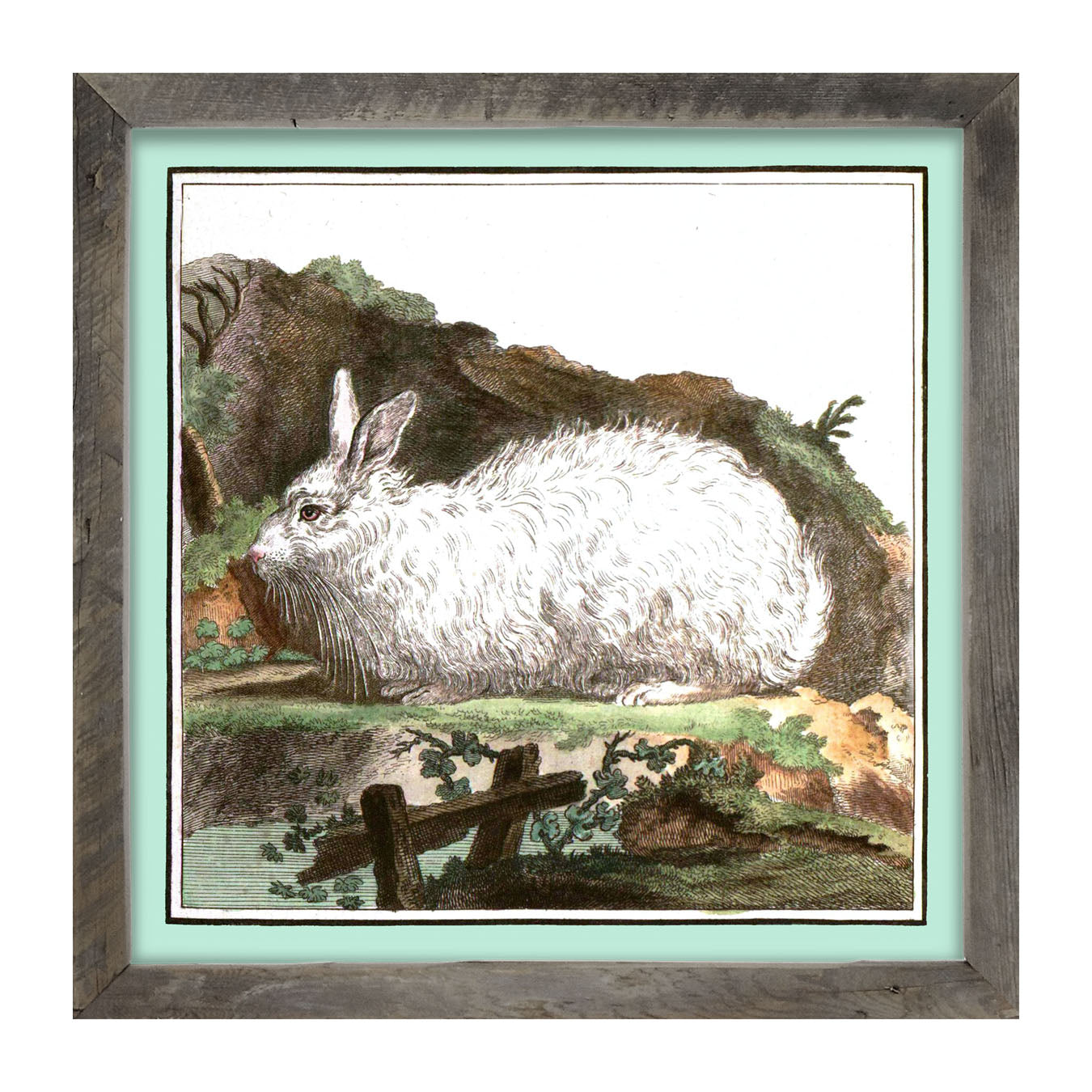 Vintage White Bunny - Framed art