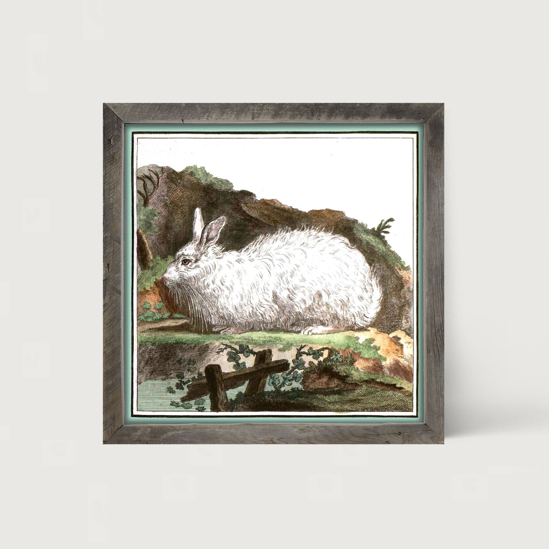 Vintage White Bunny - Framed art