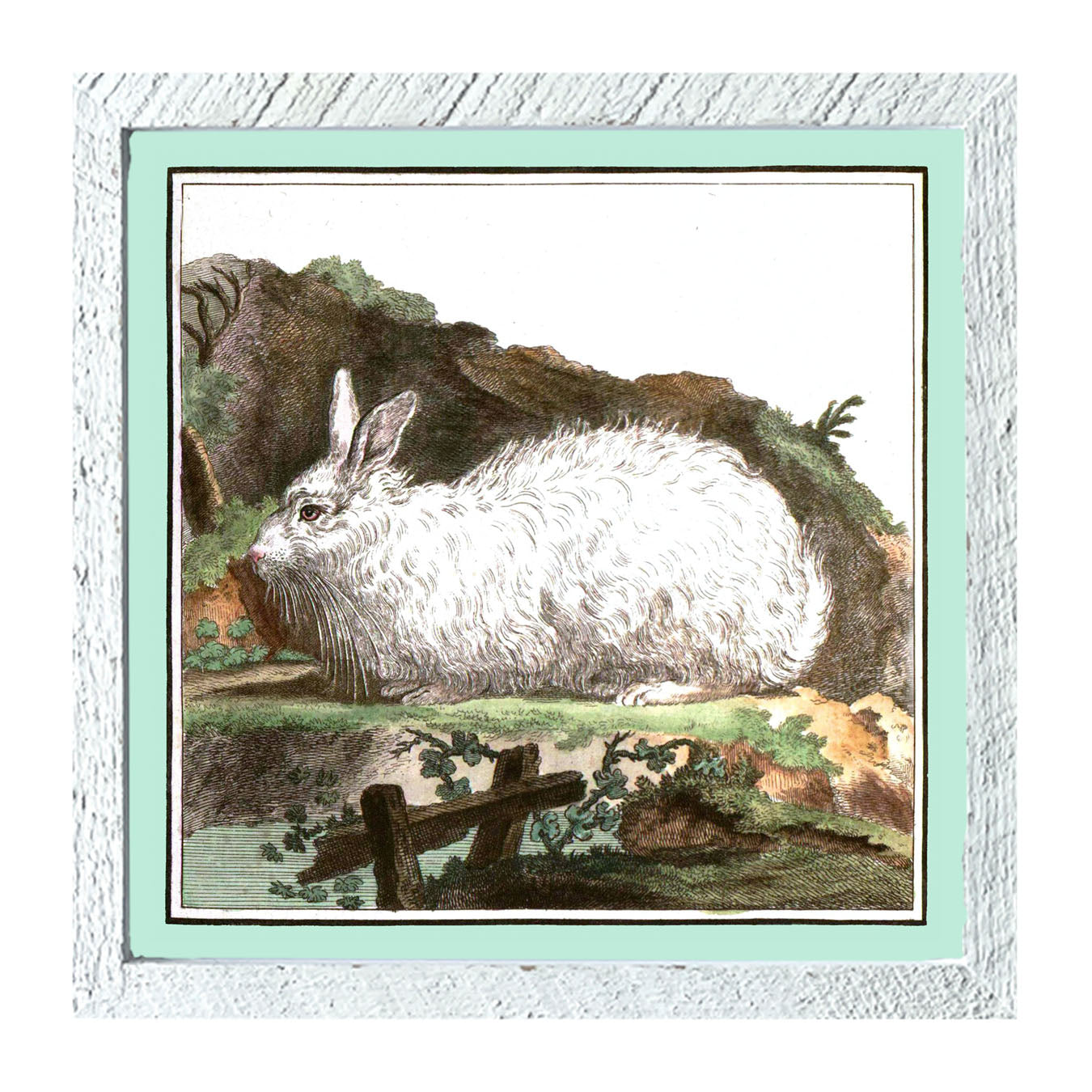 Vintage White Bunny - Framed art