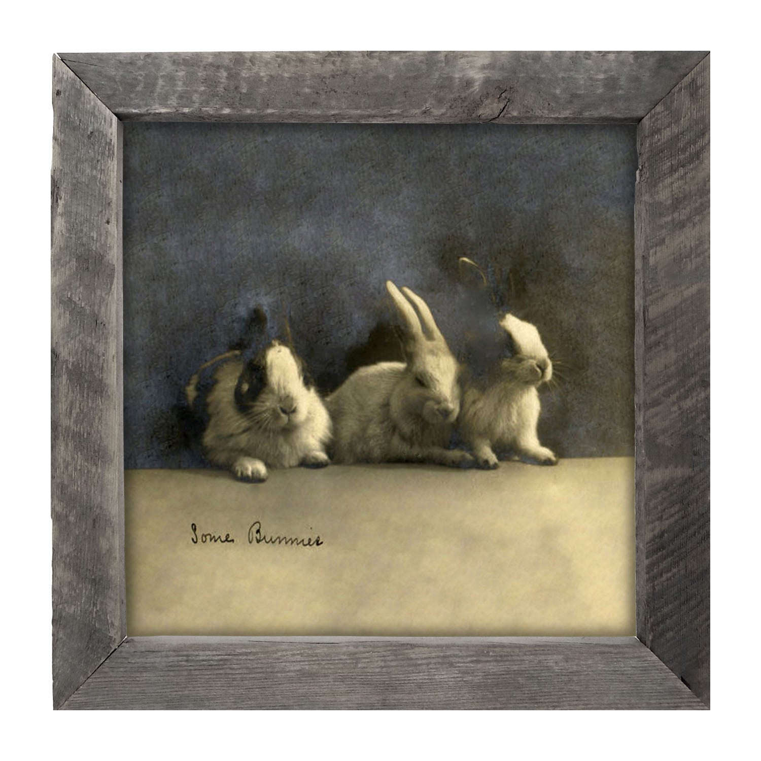 Some Bunnies - Framed art