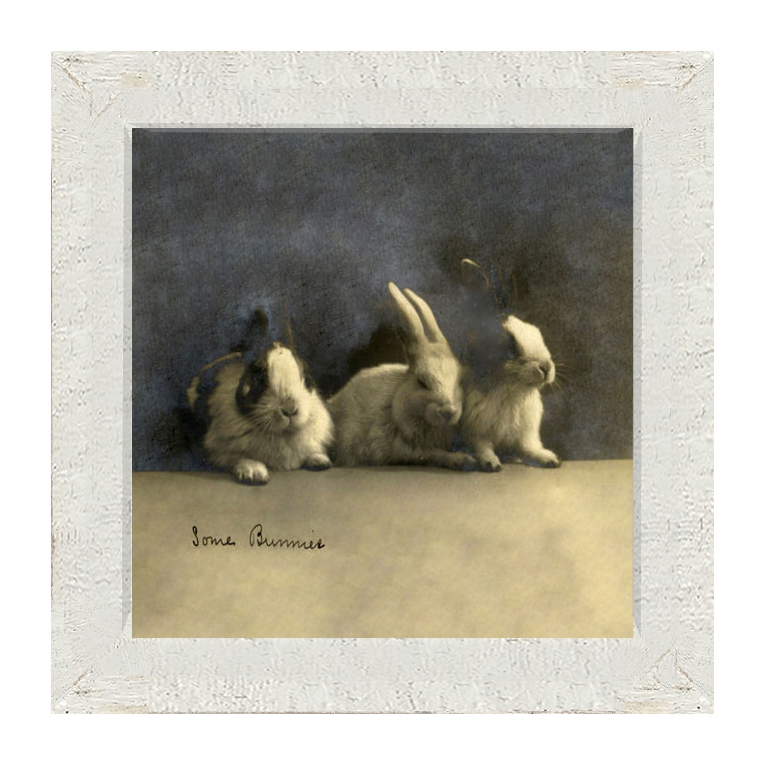 Some Bunnies - Framed art