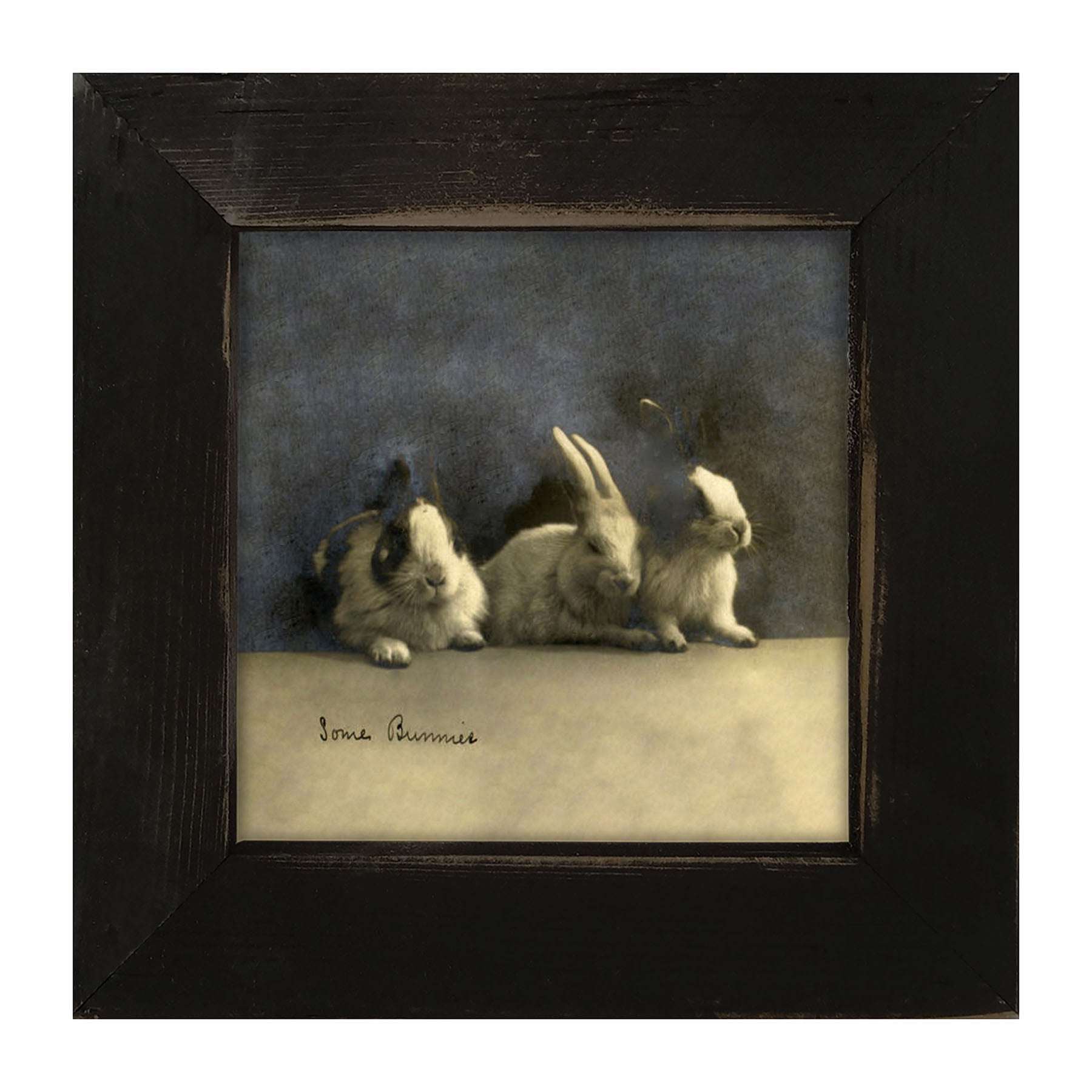 Some Bunnies - Framed art