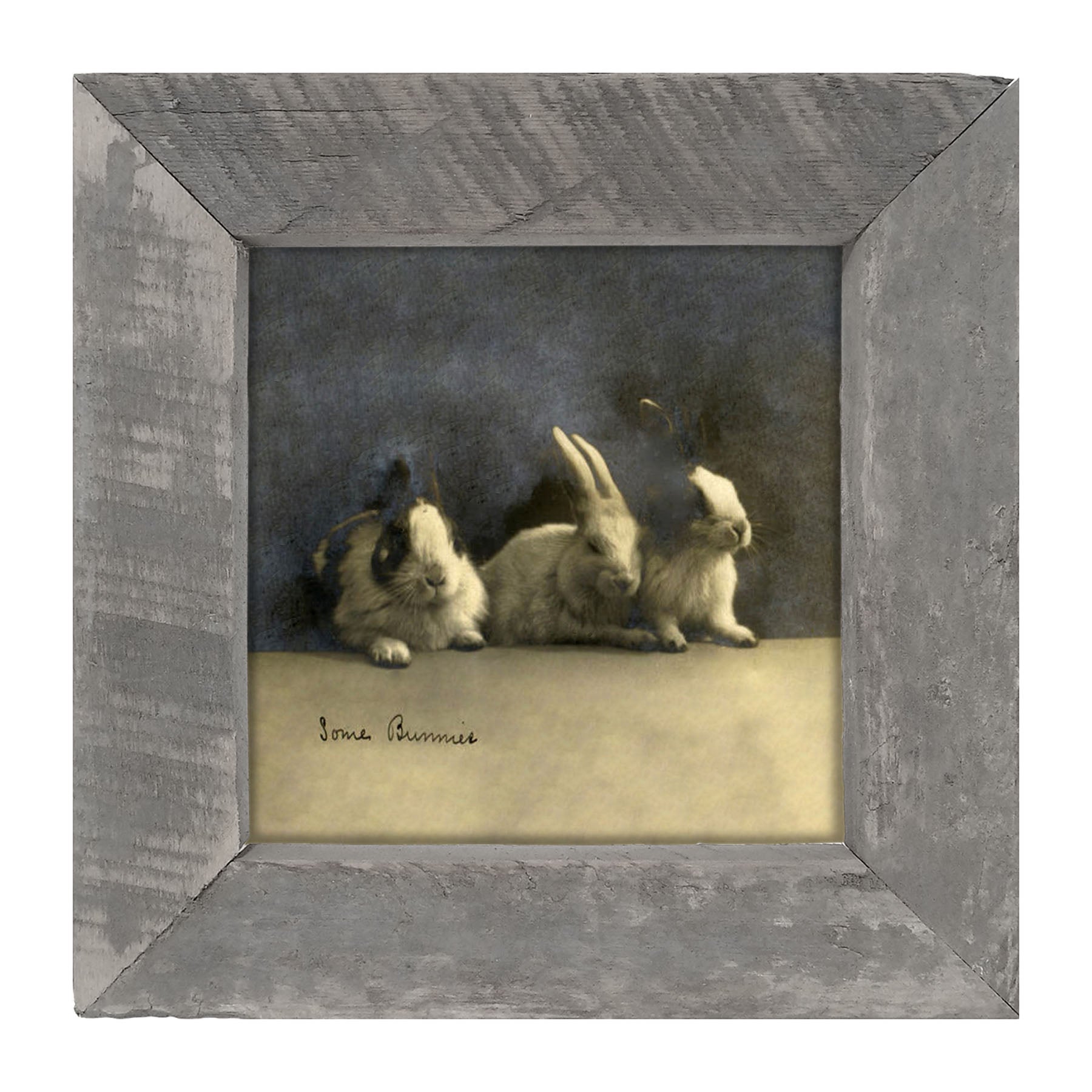Some Bunnies - Framed art