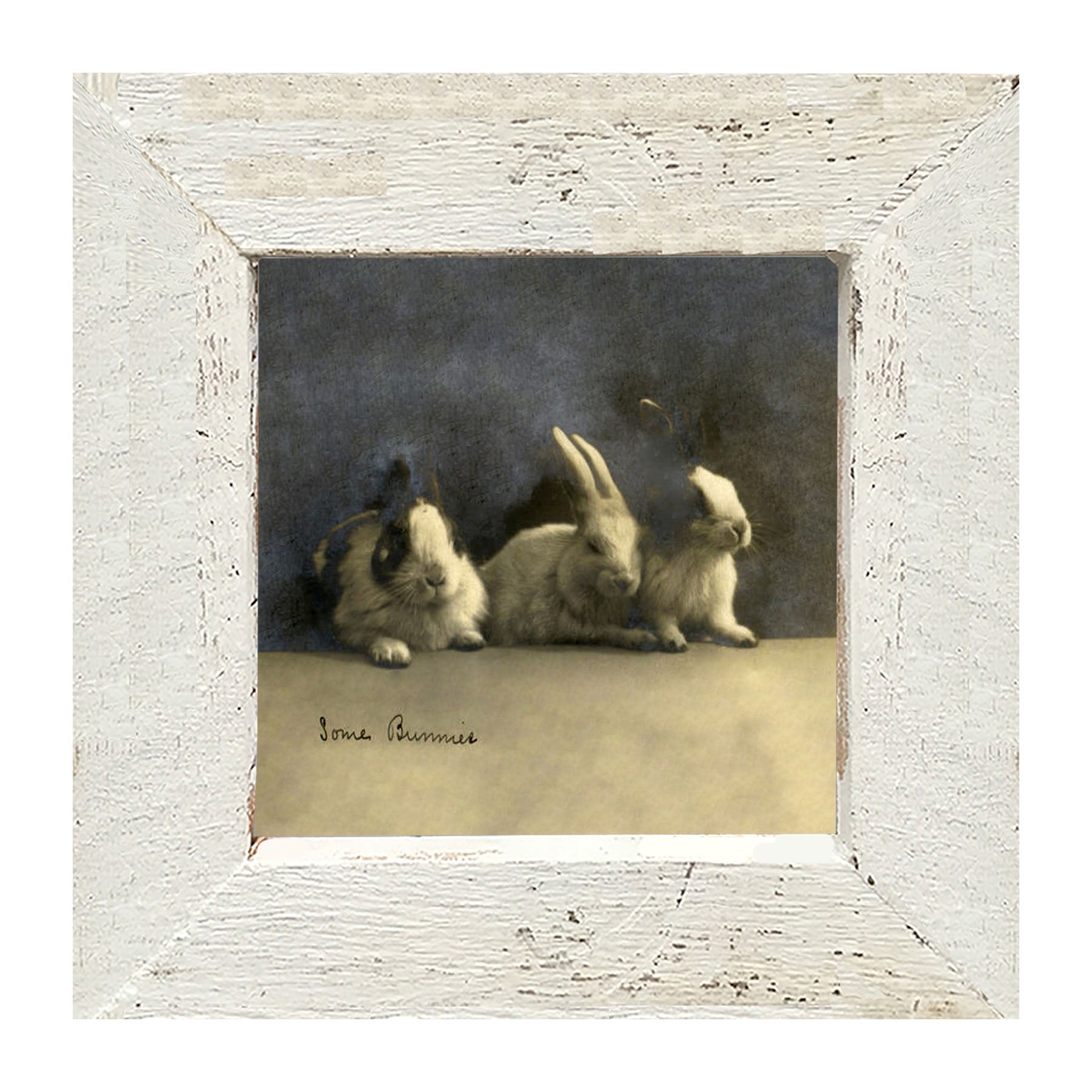 Some Bunnies - Framed art