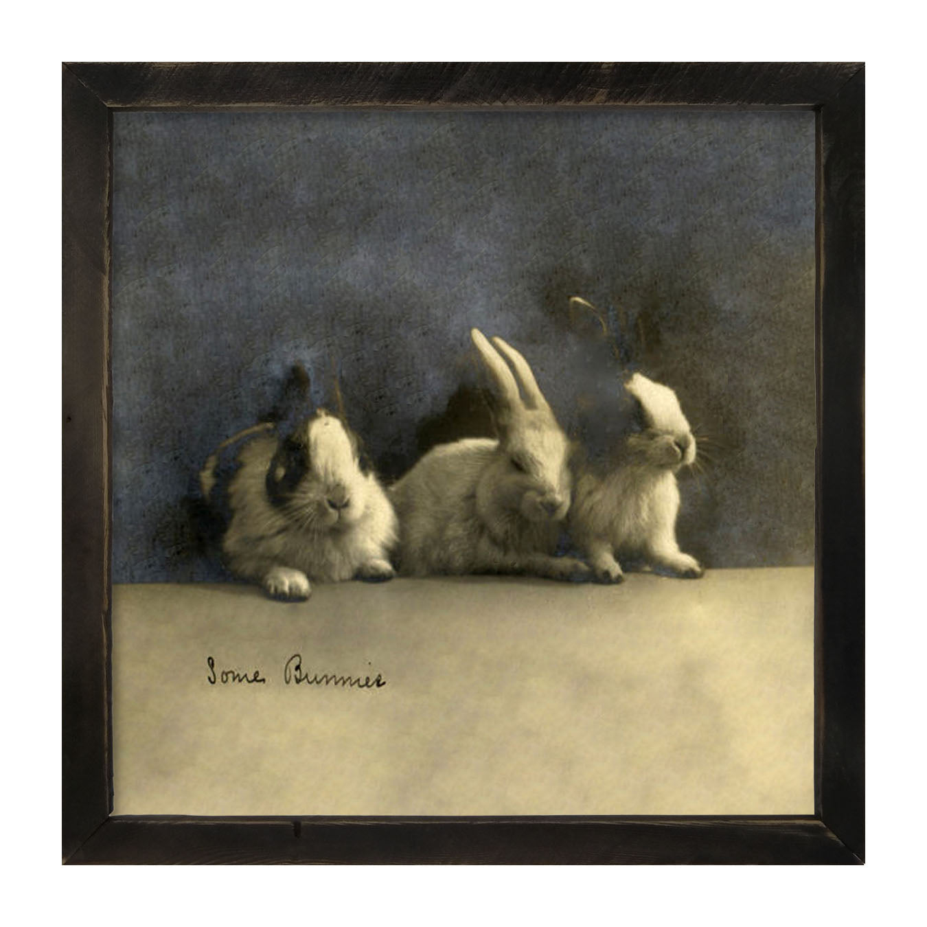 Some Bunnies - Framed art