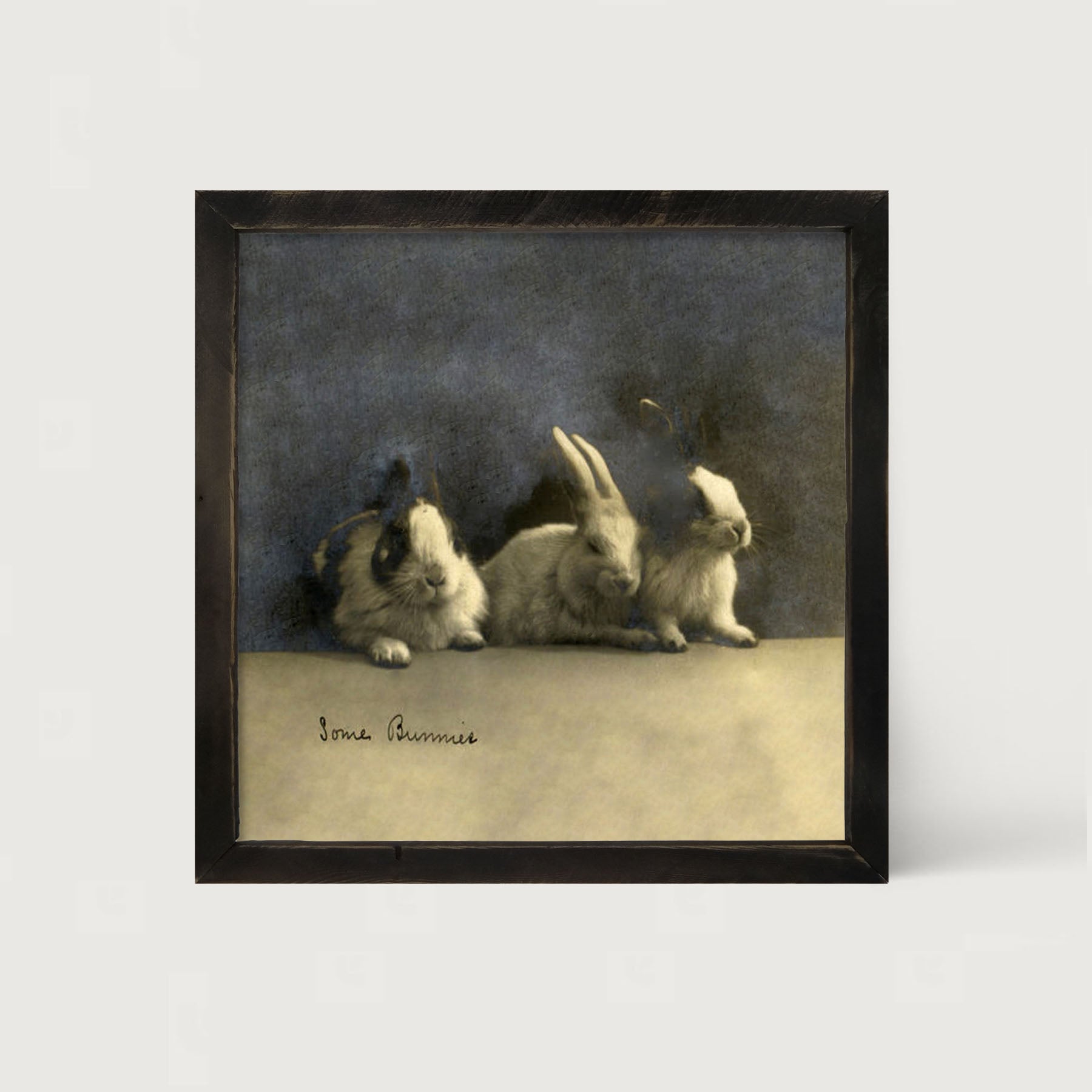 Some Bunnies - Framed art