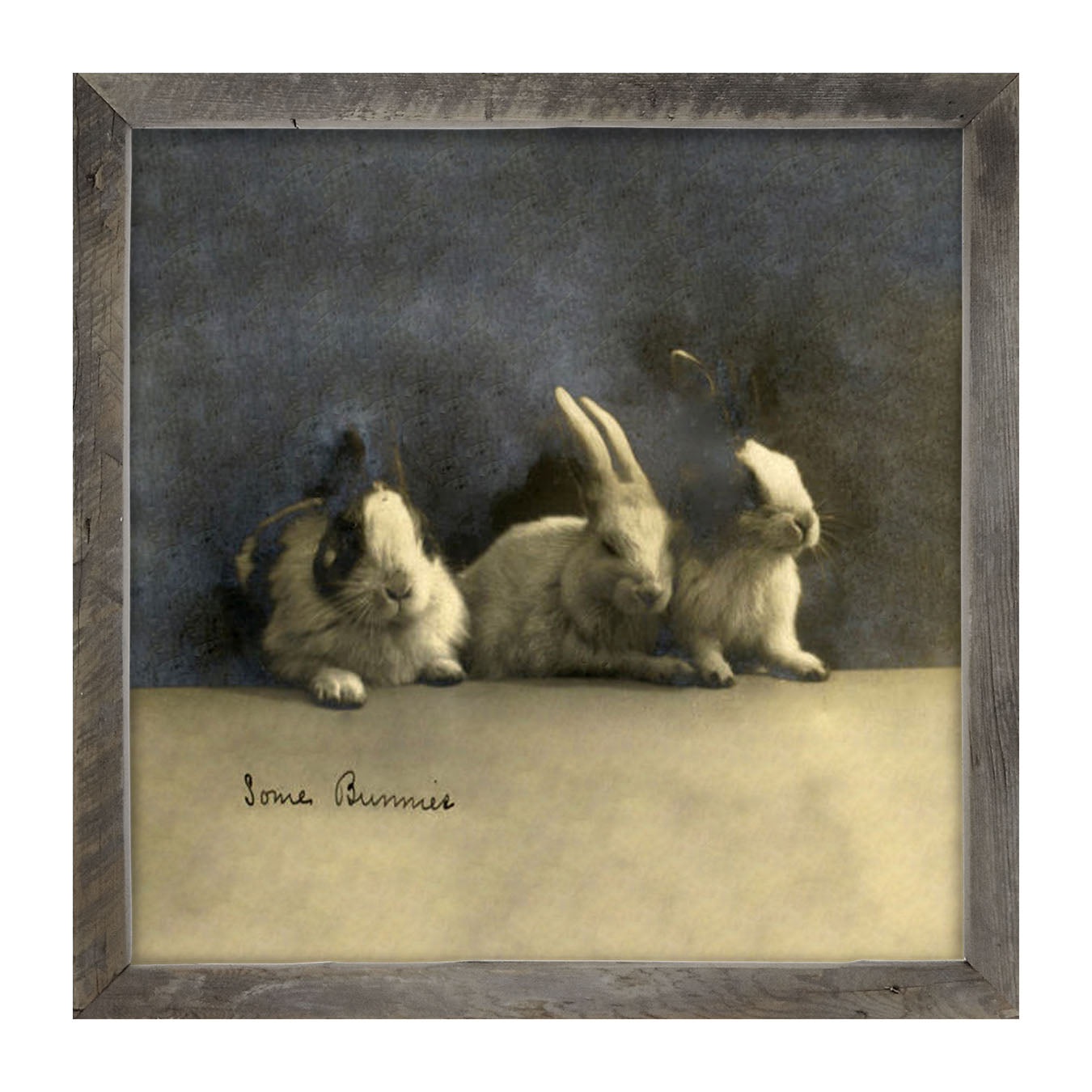 Some Bunnies - Framed art