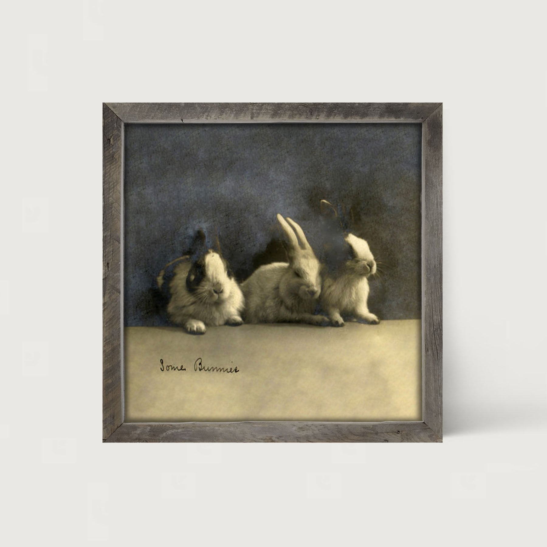 Some Bunnies - Framed art