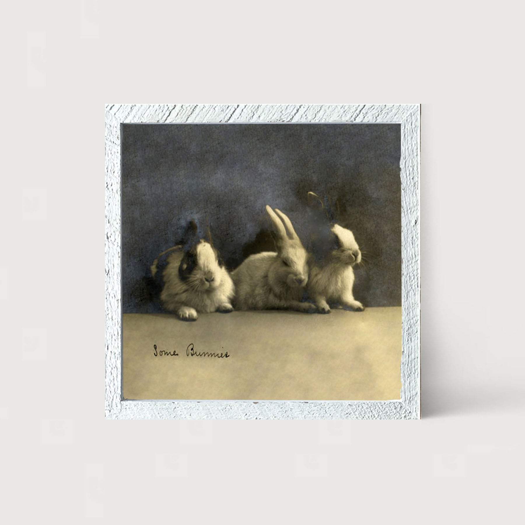Some Bunnies - Framed art