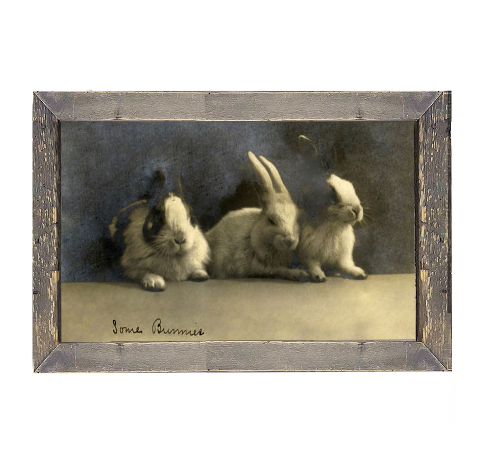 Some Bunnies - Framed art