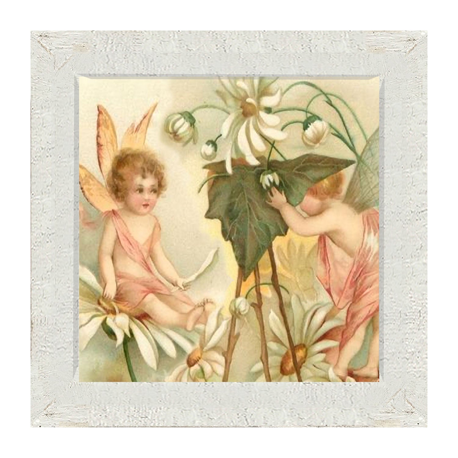 Fairy Photo - Framed art
