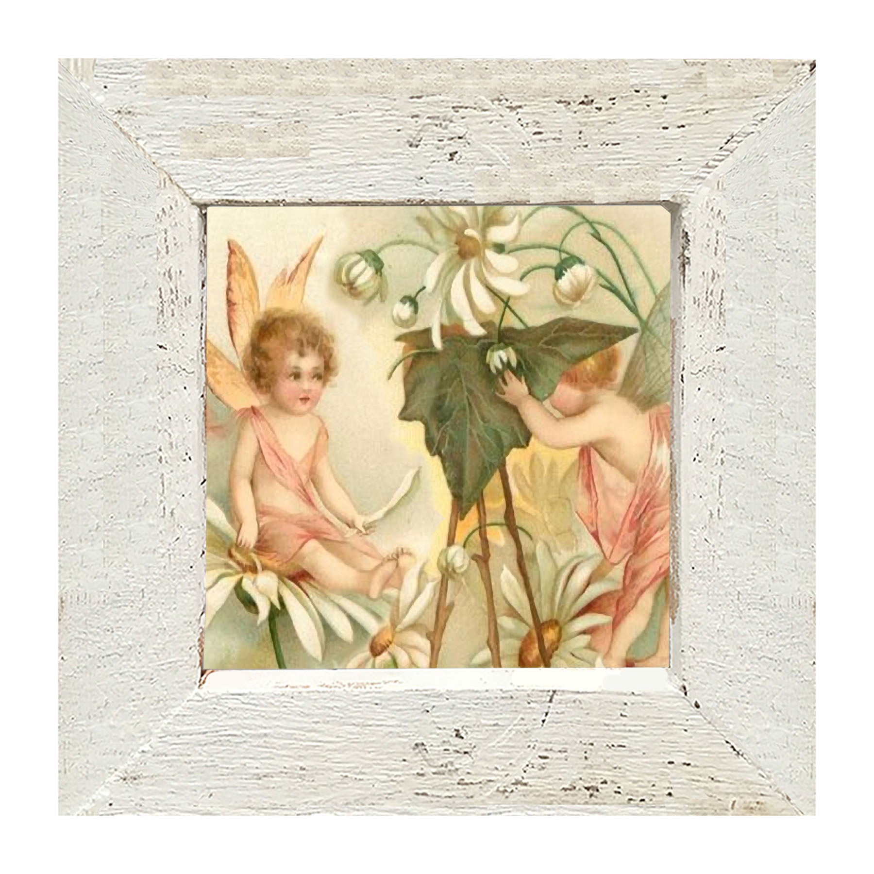 Fairy Photo - Framed art