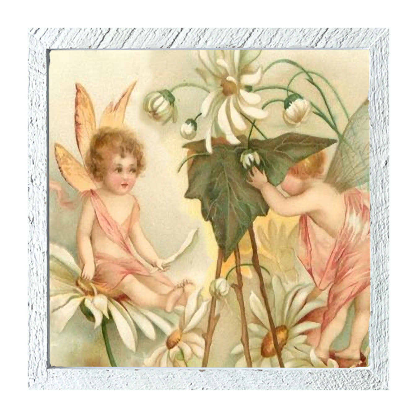 Fairy Photo - Framed art