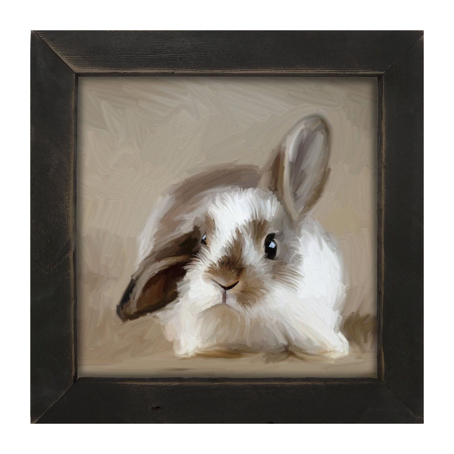 Baby Bunny - Framed art