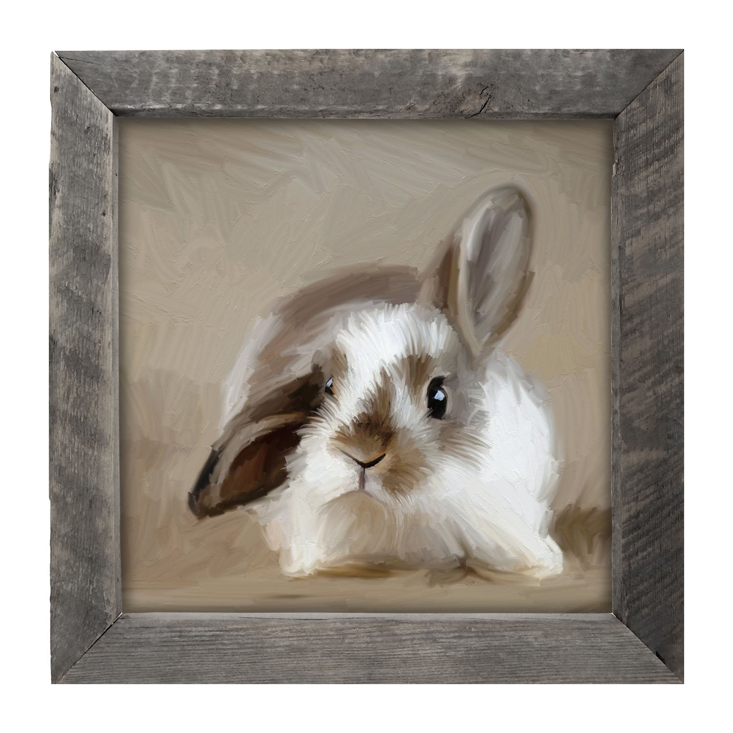 Baby Bunny - Framed art