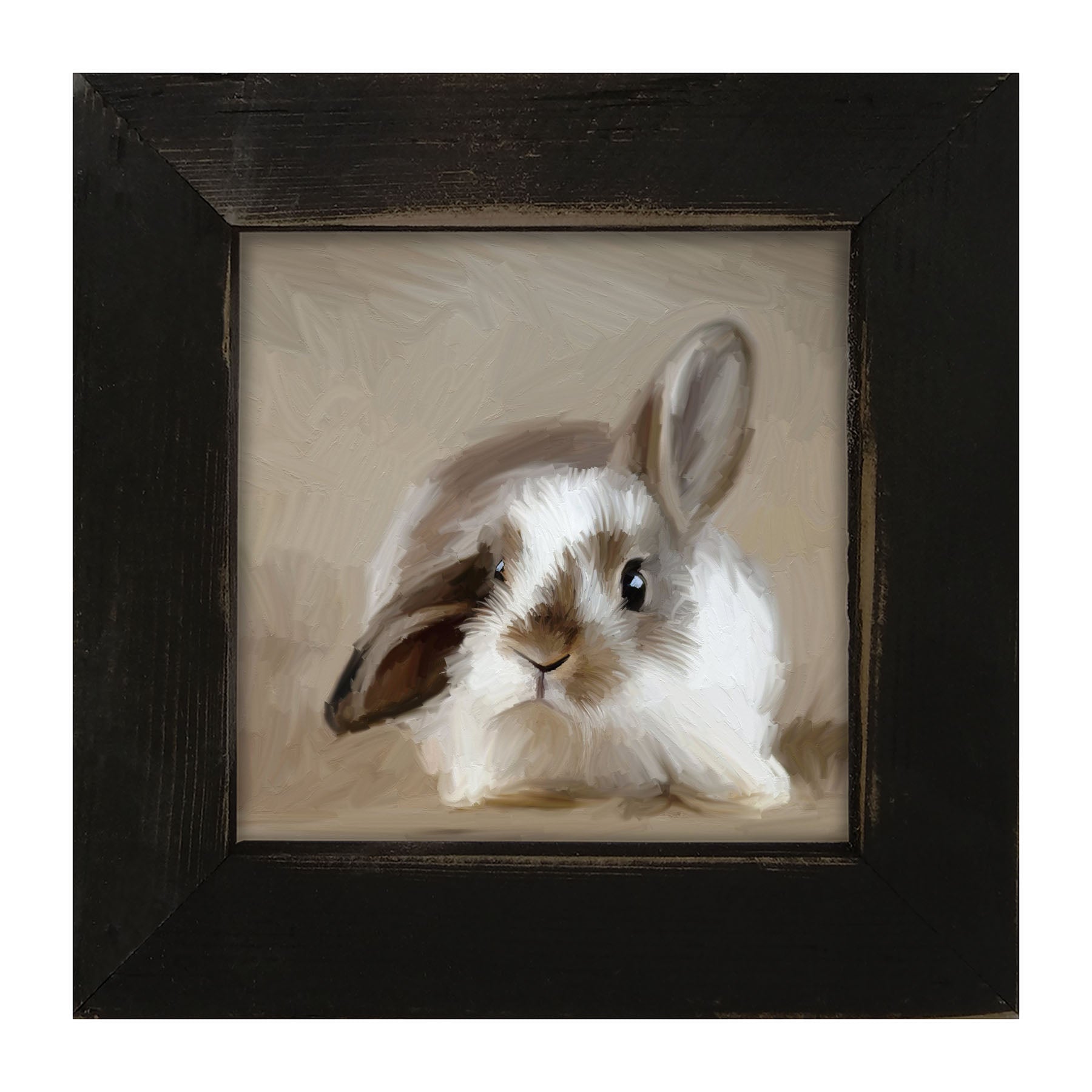 Baby Bunny - Framed art