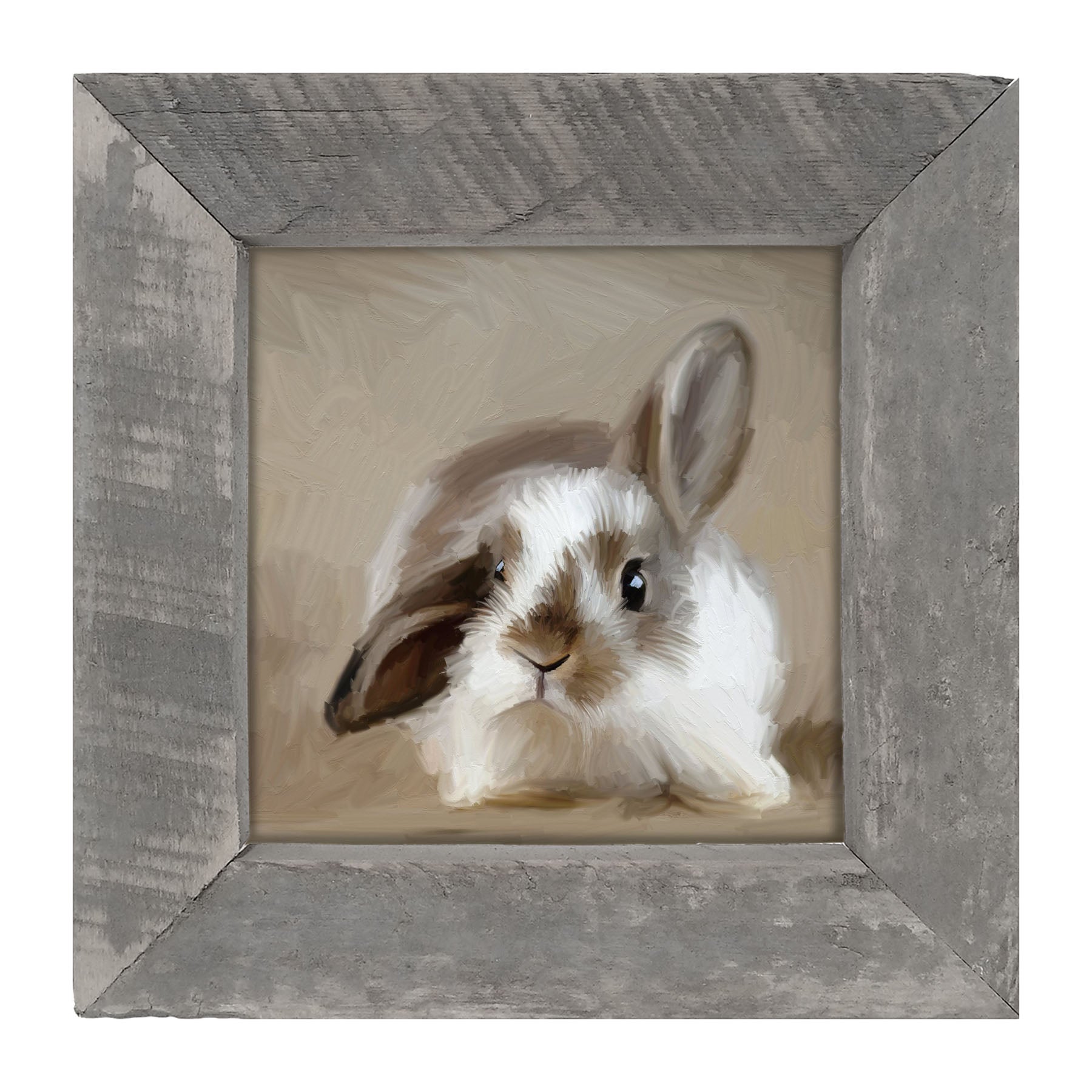 Baby Bunny - Framed art