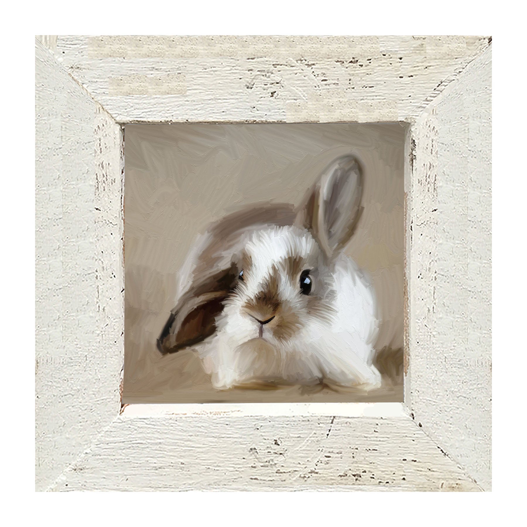 Baby Bunny - Framed art