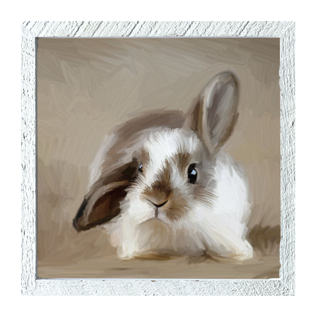 Baby Bunny - Framed art