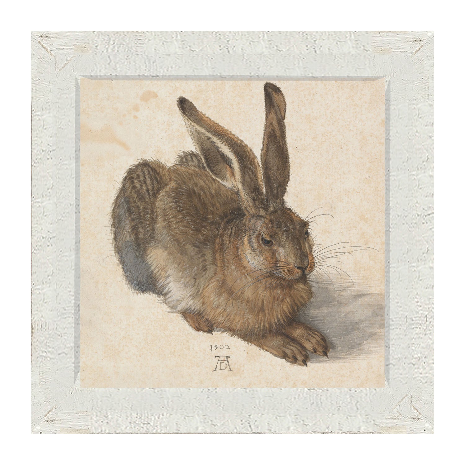 Brown Bunny - Framed art
