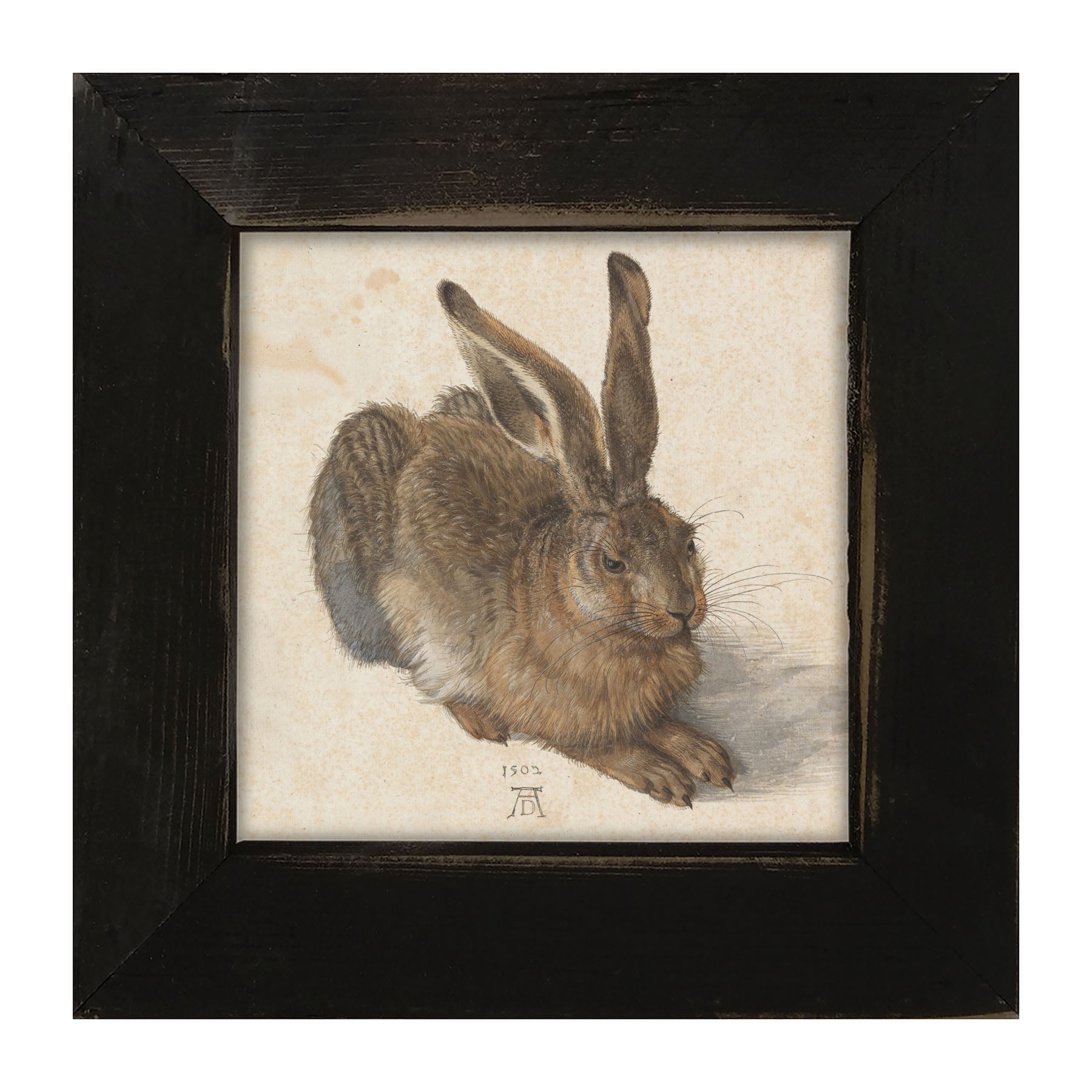 Brown Bunny - Framed art